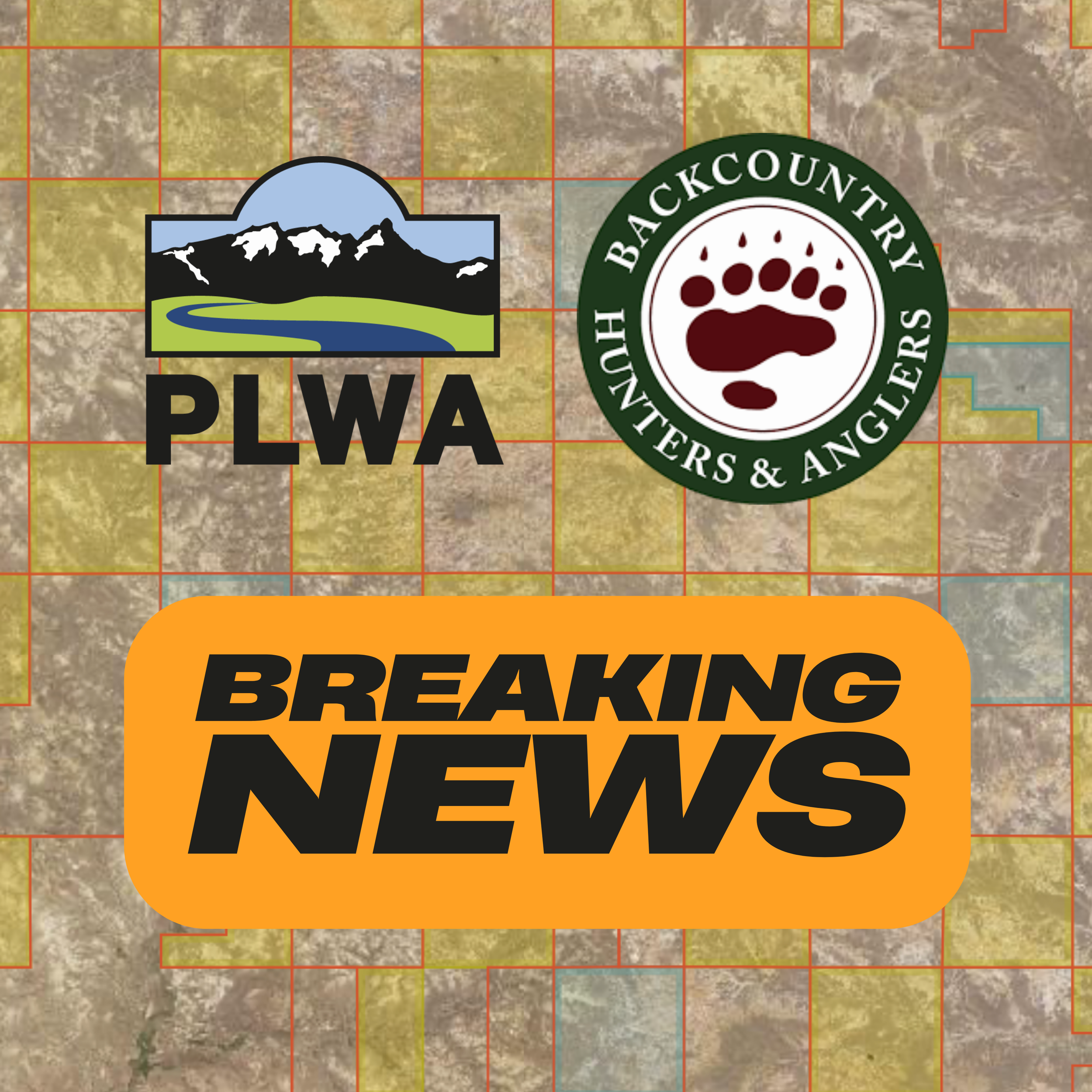 Copy of Tile Web Bozeman Pint Night.png