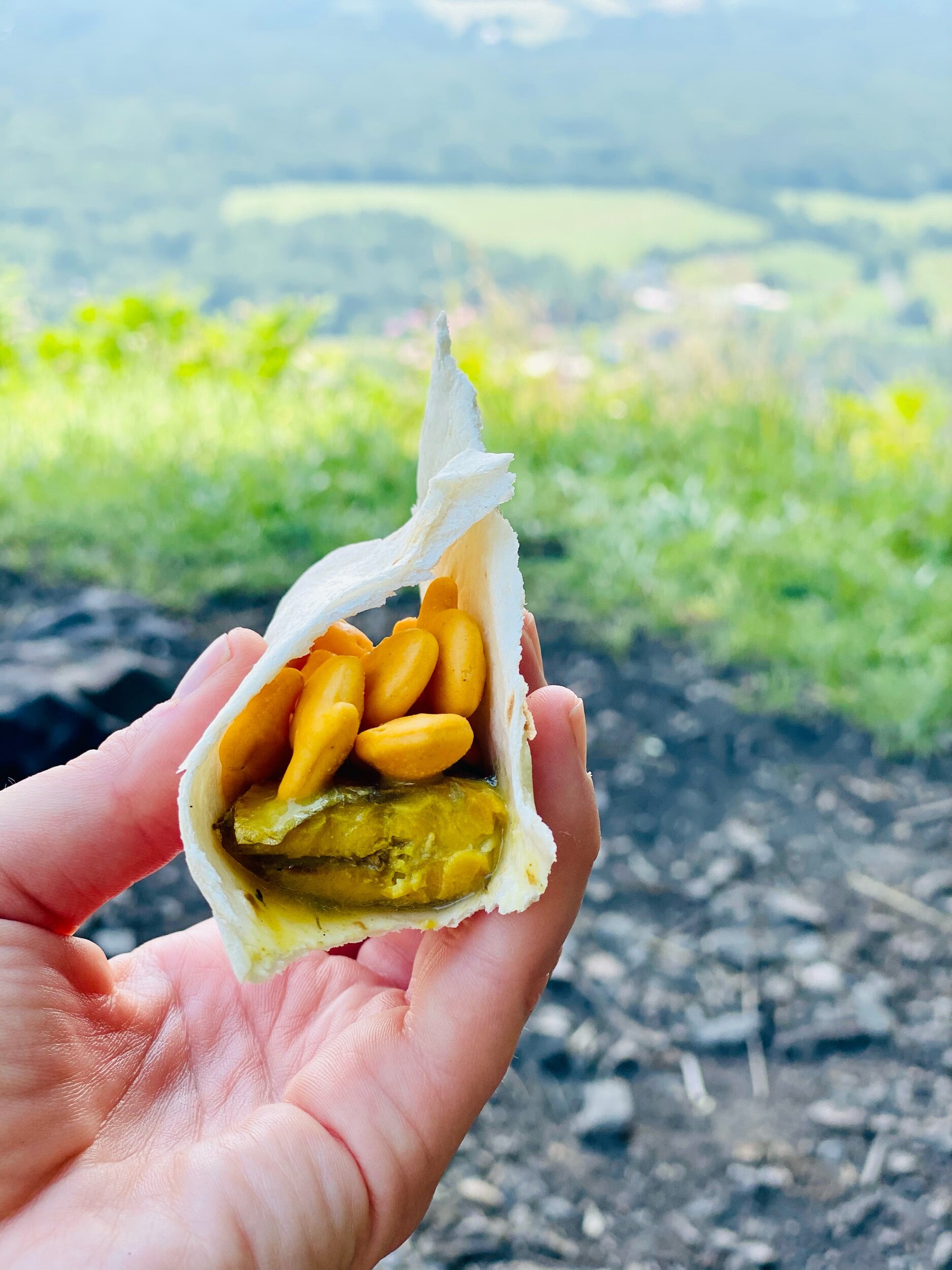 7/26, Lunch over Mt. Minsi Overlook, Pennsylvania. Mustard sardines topped with cheddar goldfish.