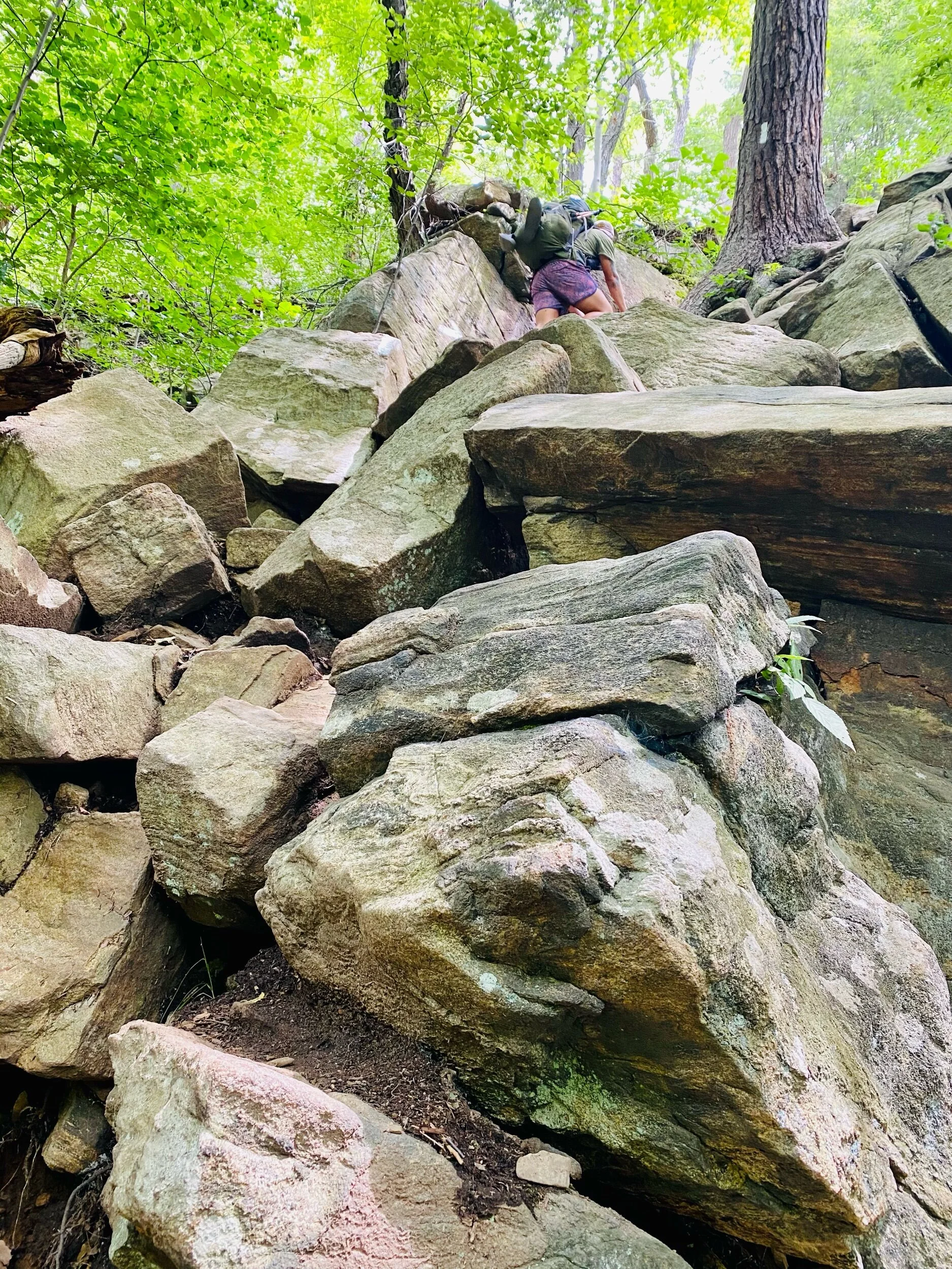 8/3, Wallflower climbing Buchanan Mountain.