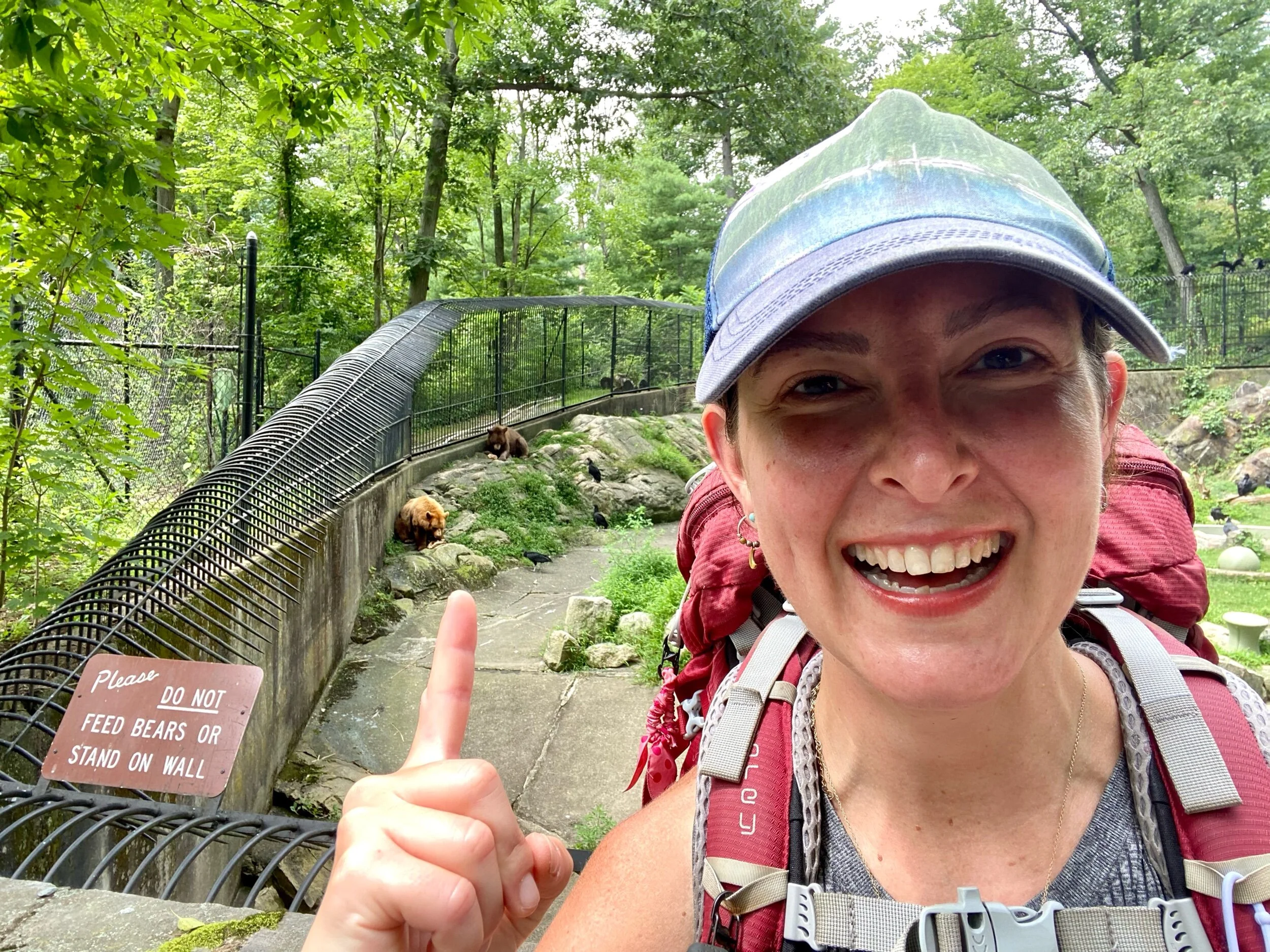 And….I saw….a….BEAR 🎊!! At the zoo, but nonetheless….