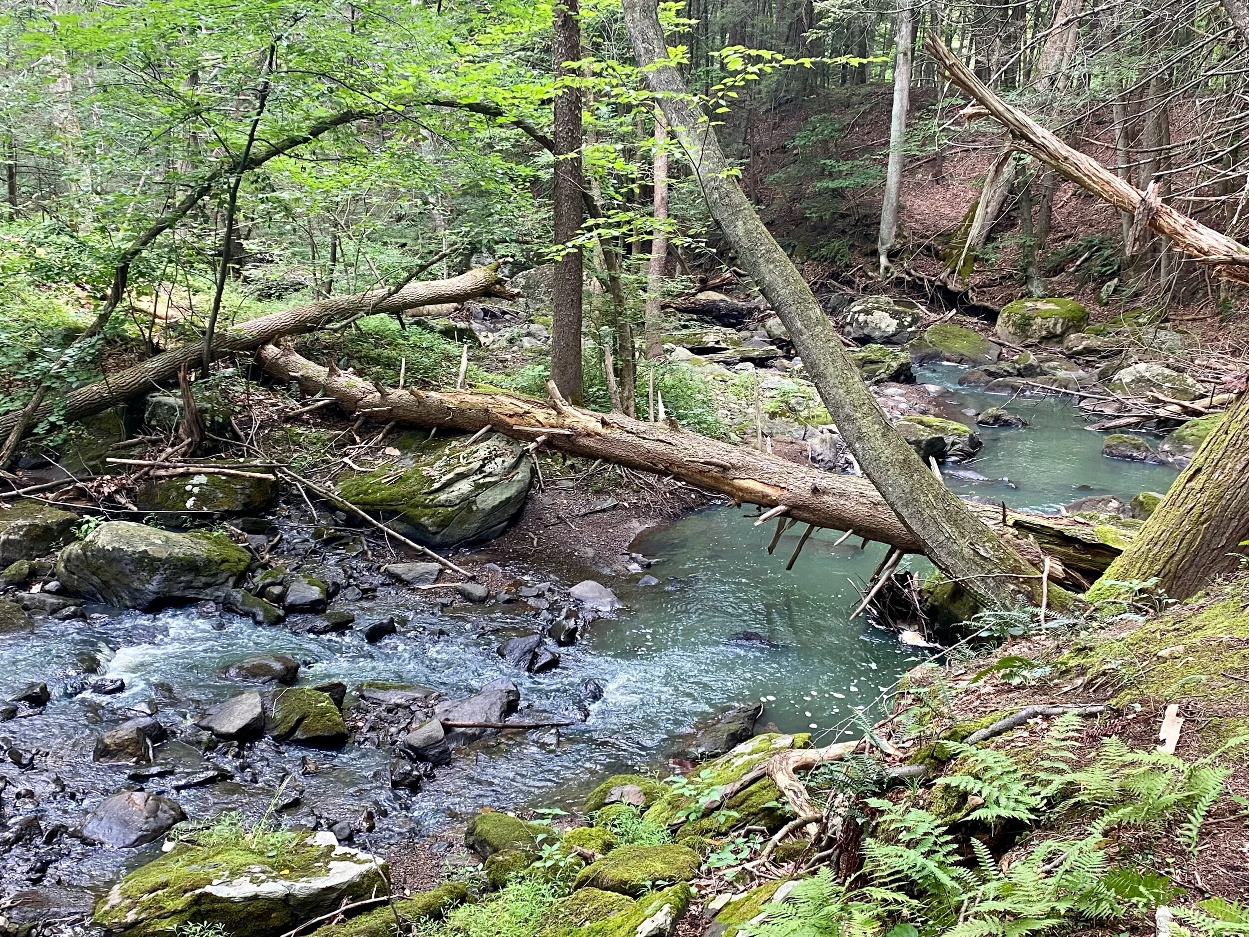 8/9, Bull’s Bridge rapids.