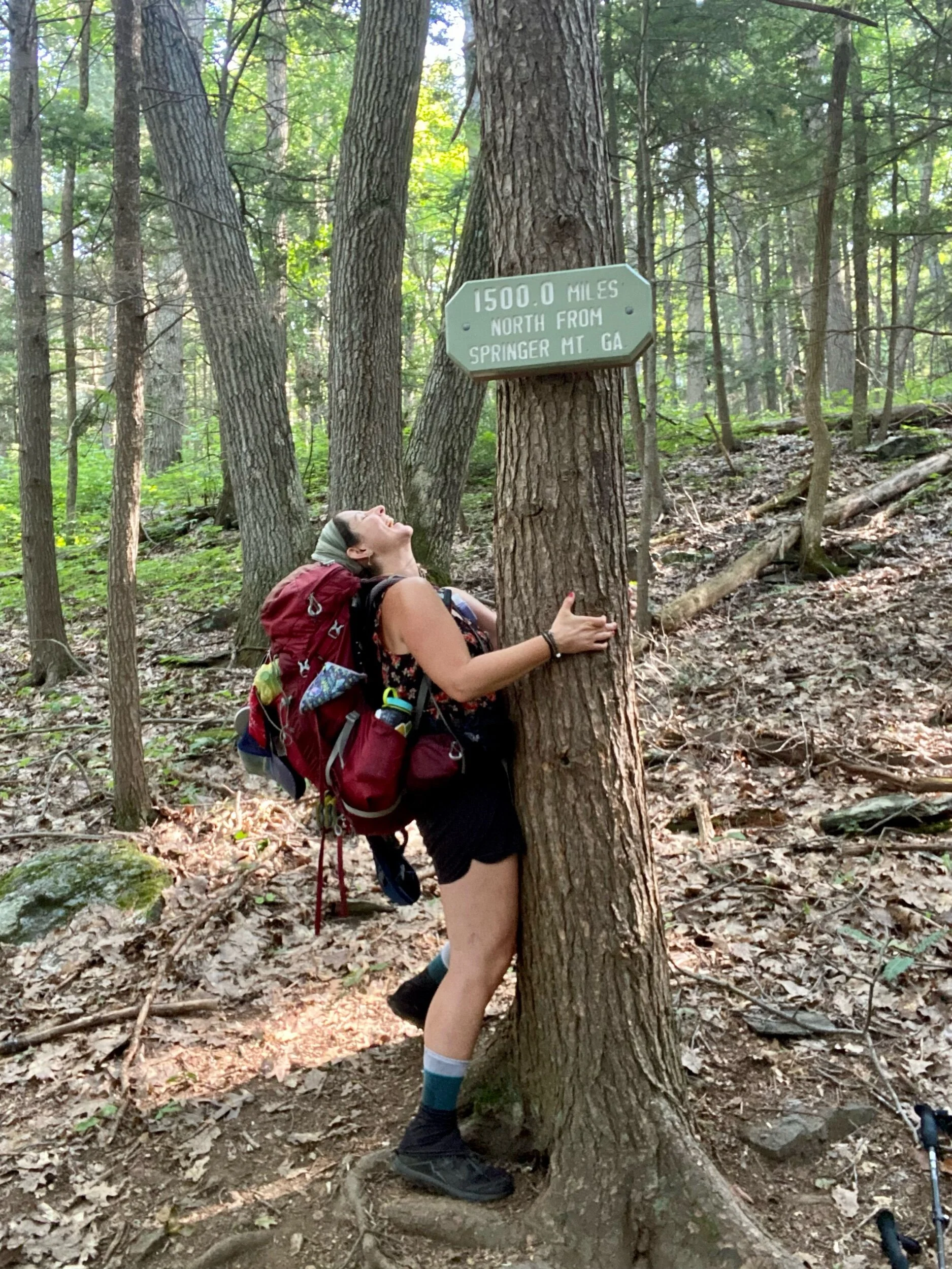 8/12, 1️⃣5️⃣0️⃣0️⃣