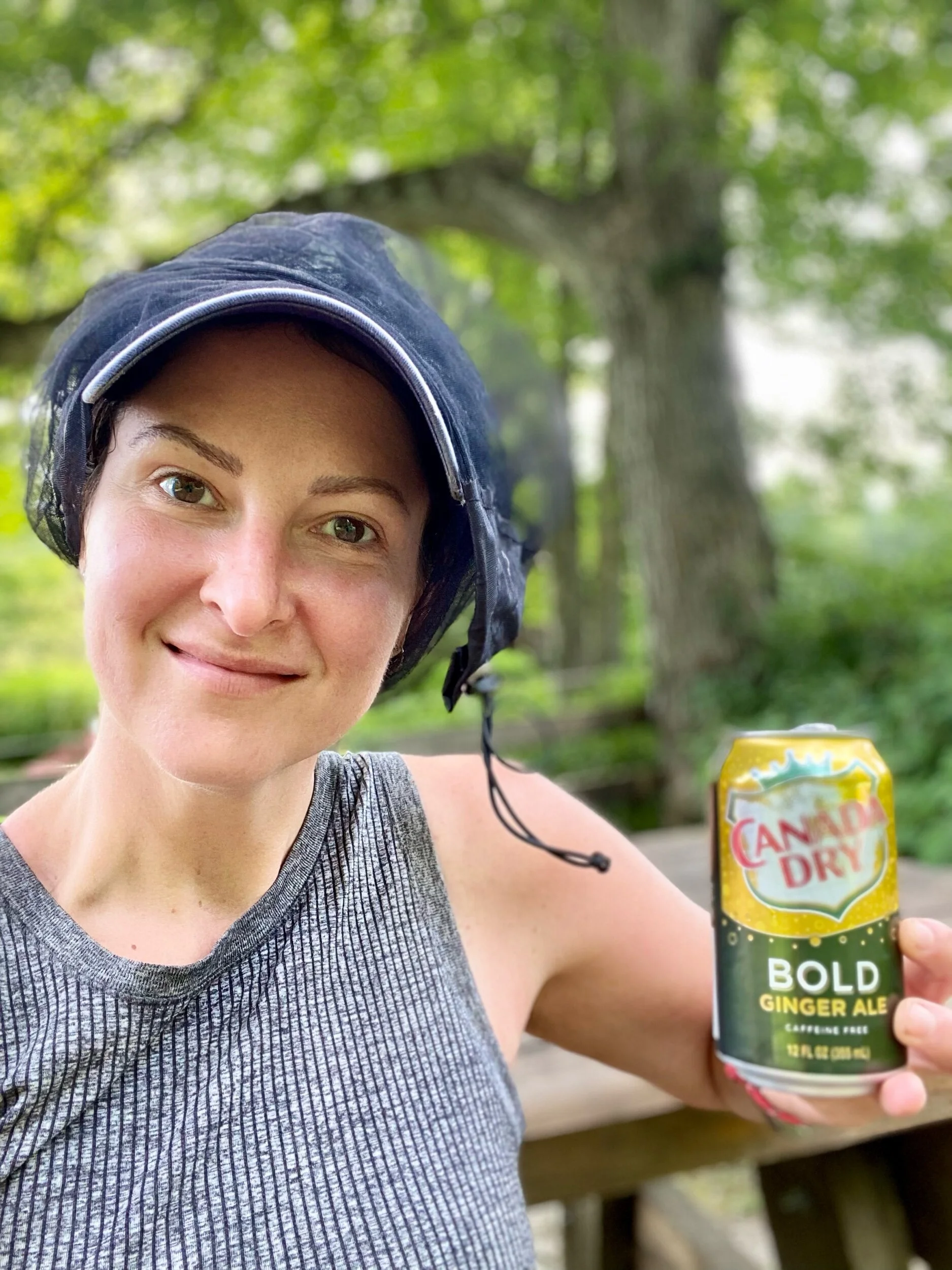 Canada Dry BOLD Ginger Ale