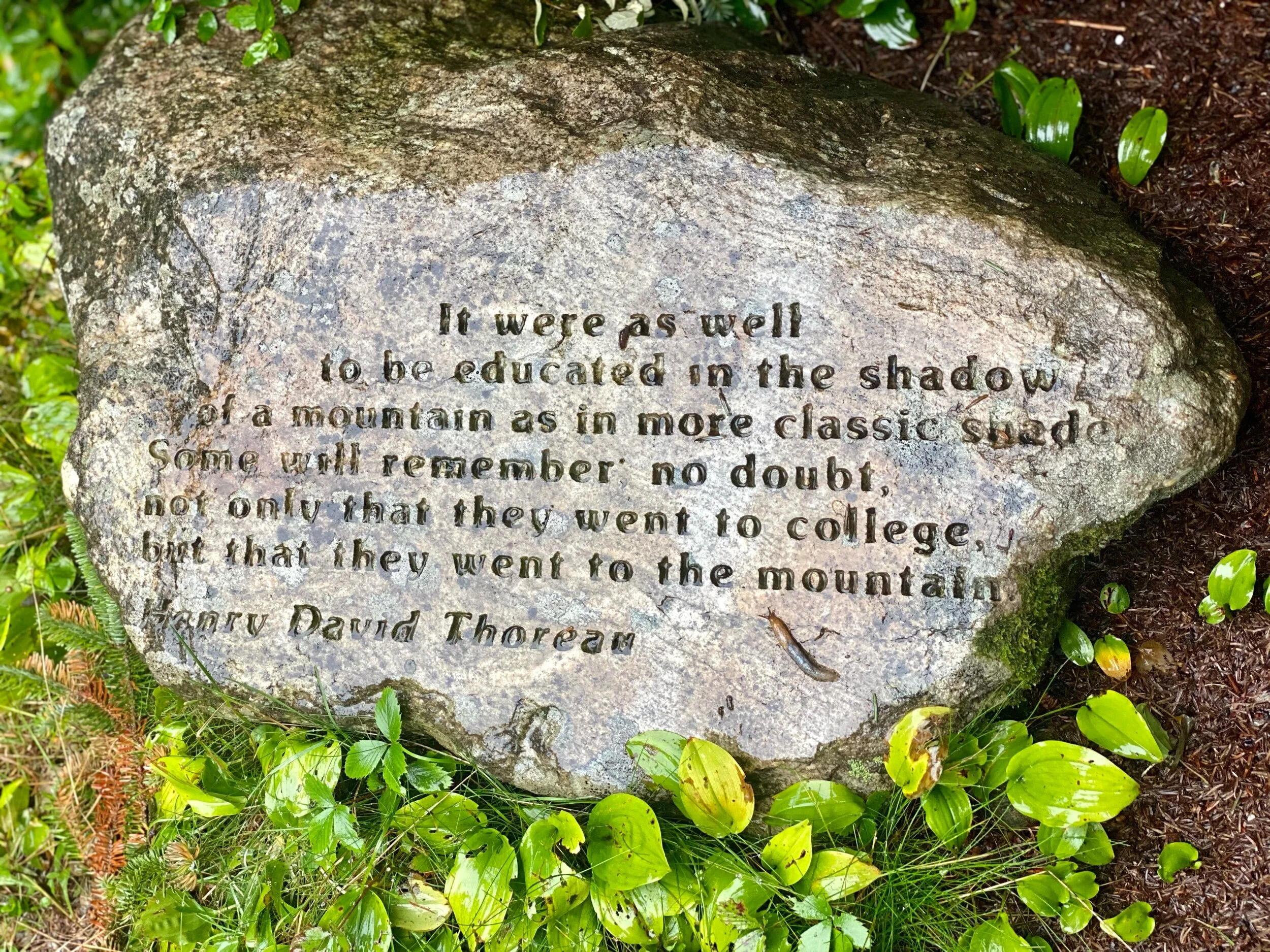 Henry David Thoreau engraved quote