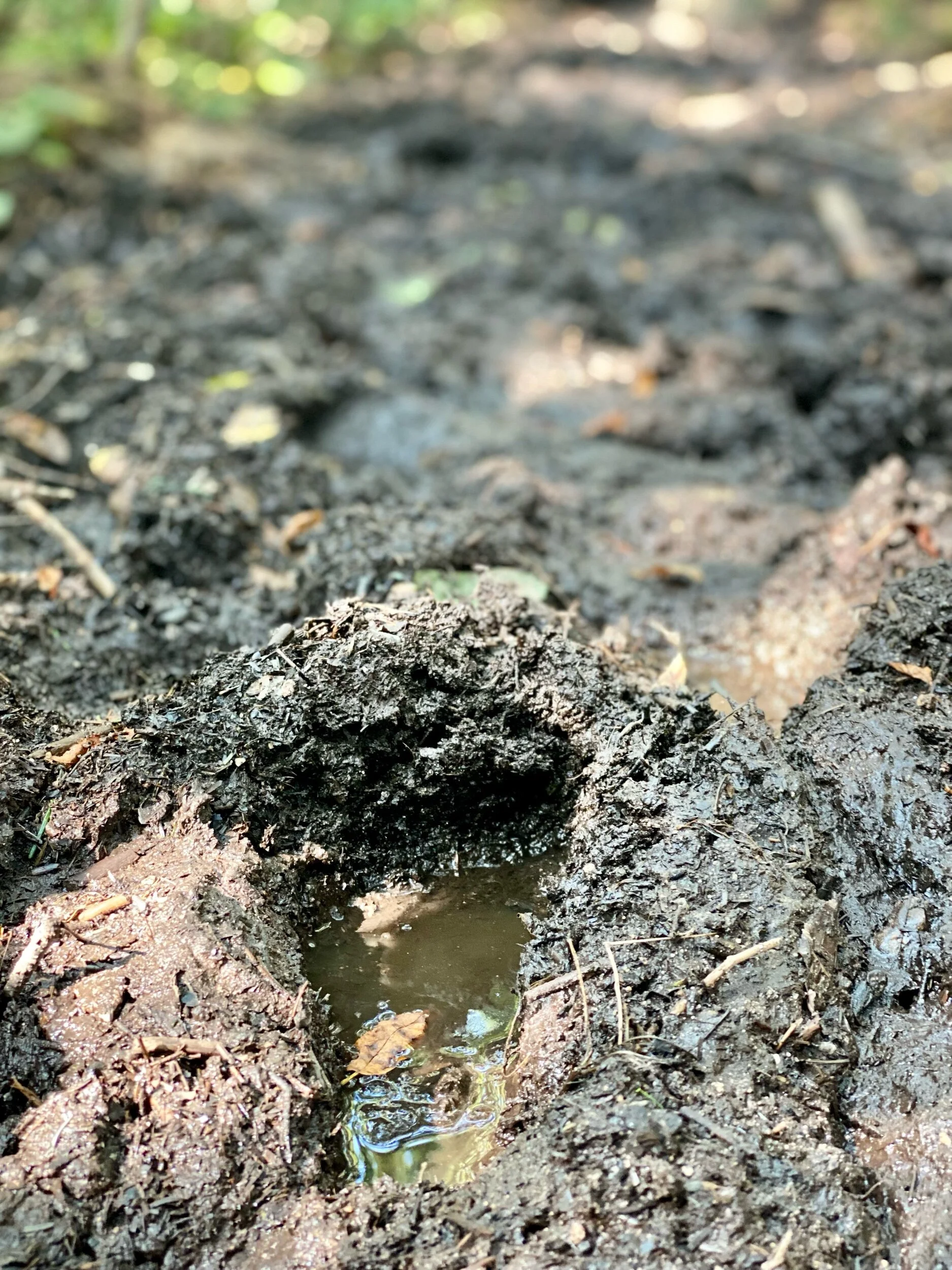 Even more mud.