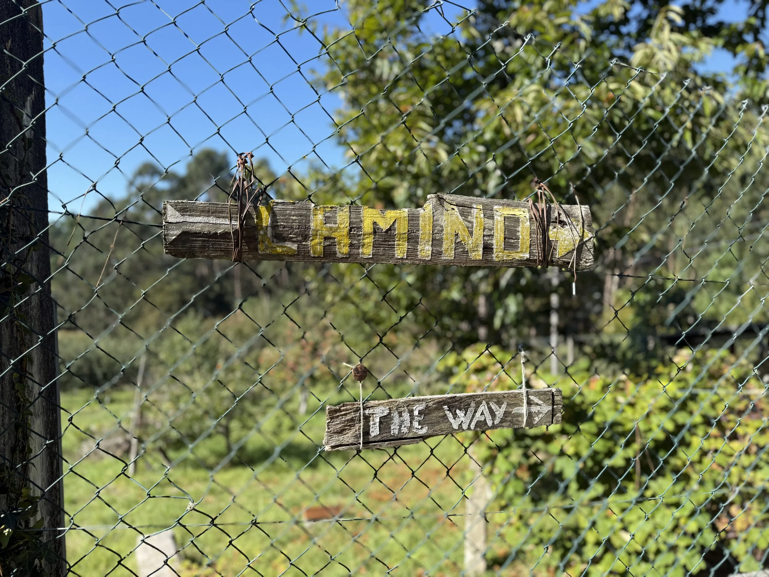 Camino de Santiago the way wooden sign