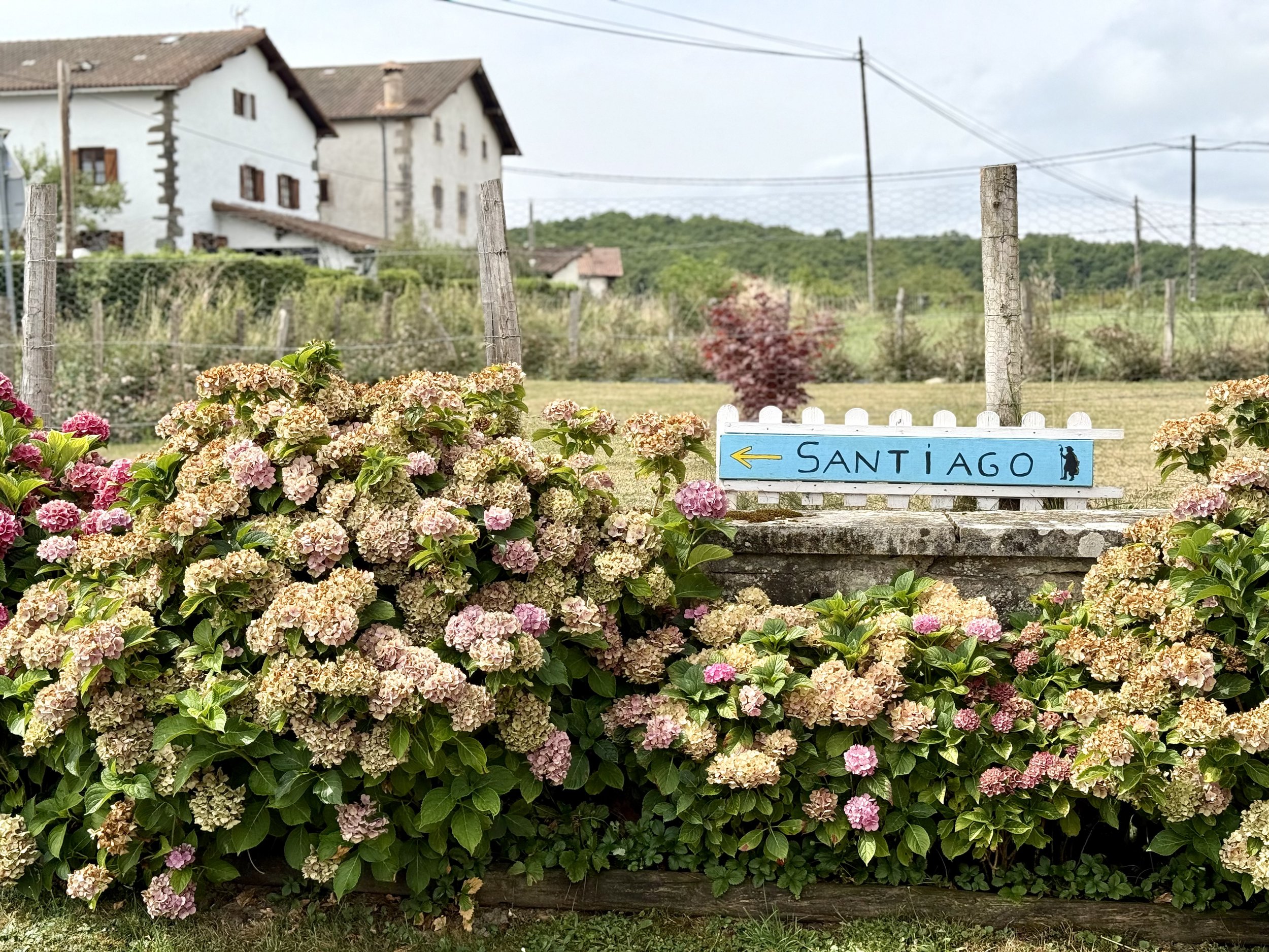 Camino de Santiago trail sign in the countryside