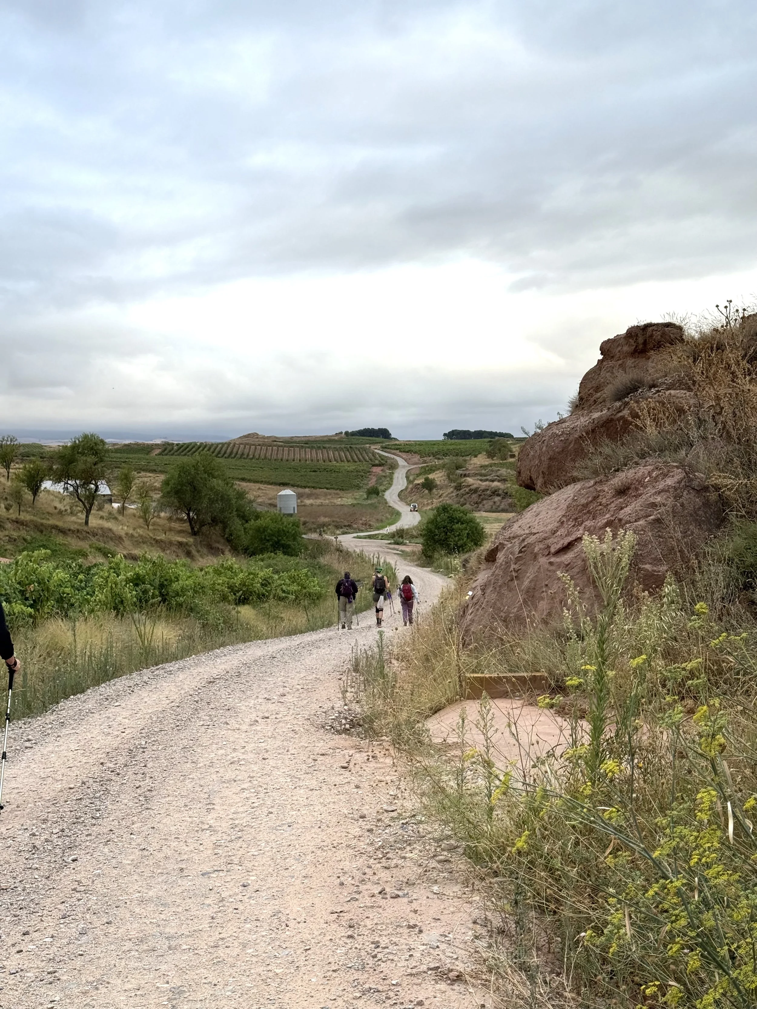 Camino de santIago countryside trails