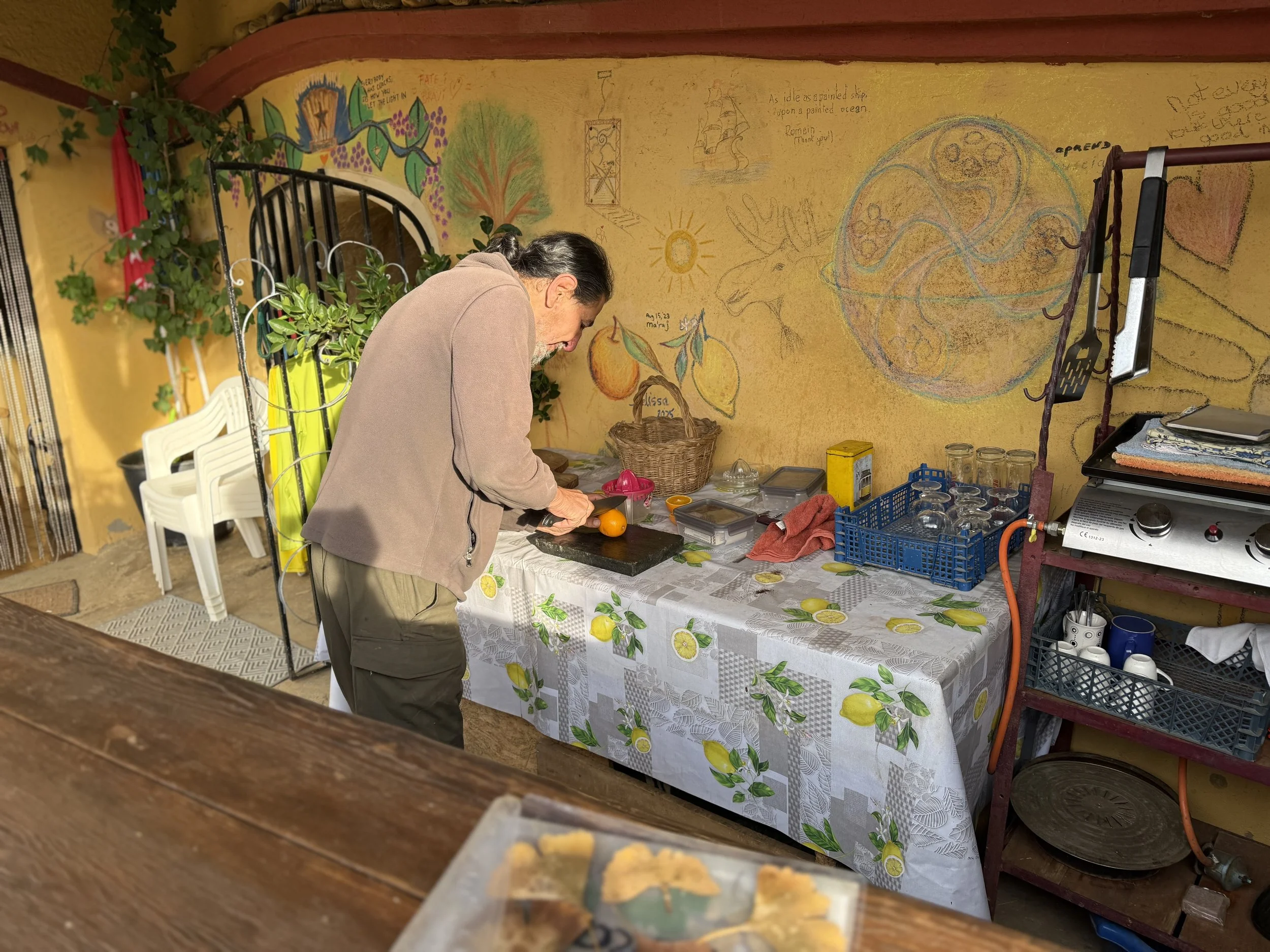 Cutting oranges in Spain