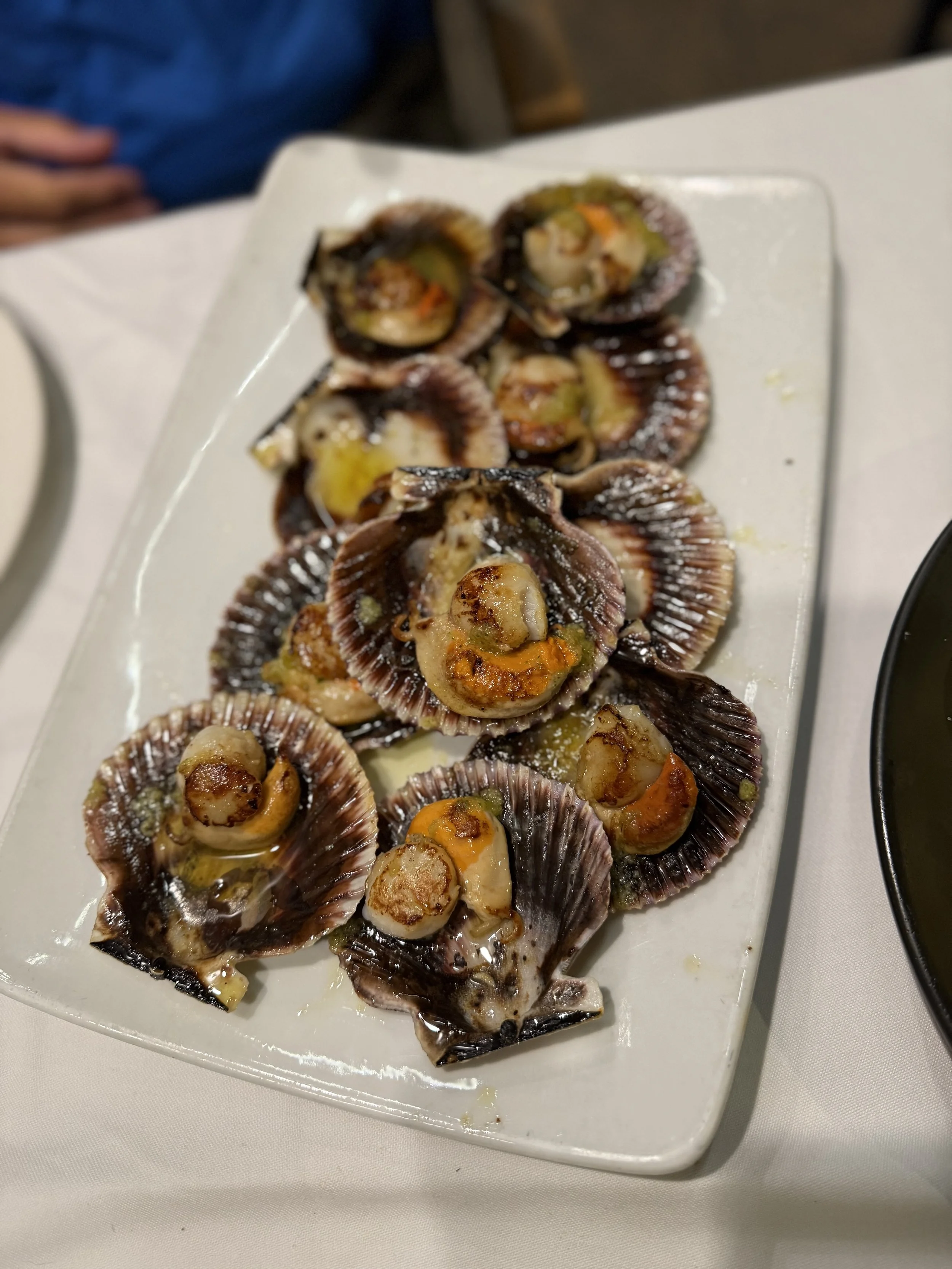 fresh spanish scallops