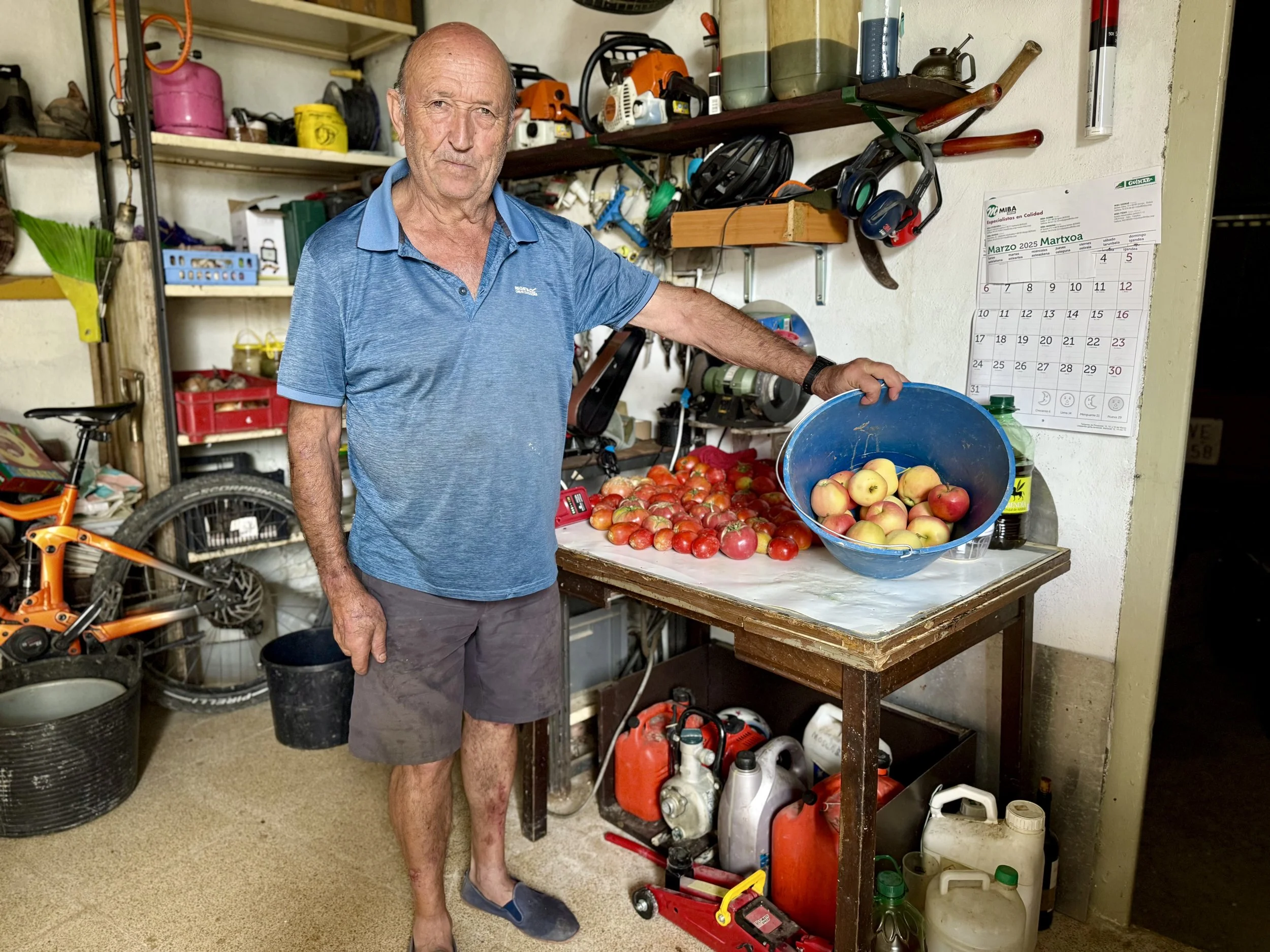 Spanish apple harvest