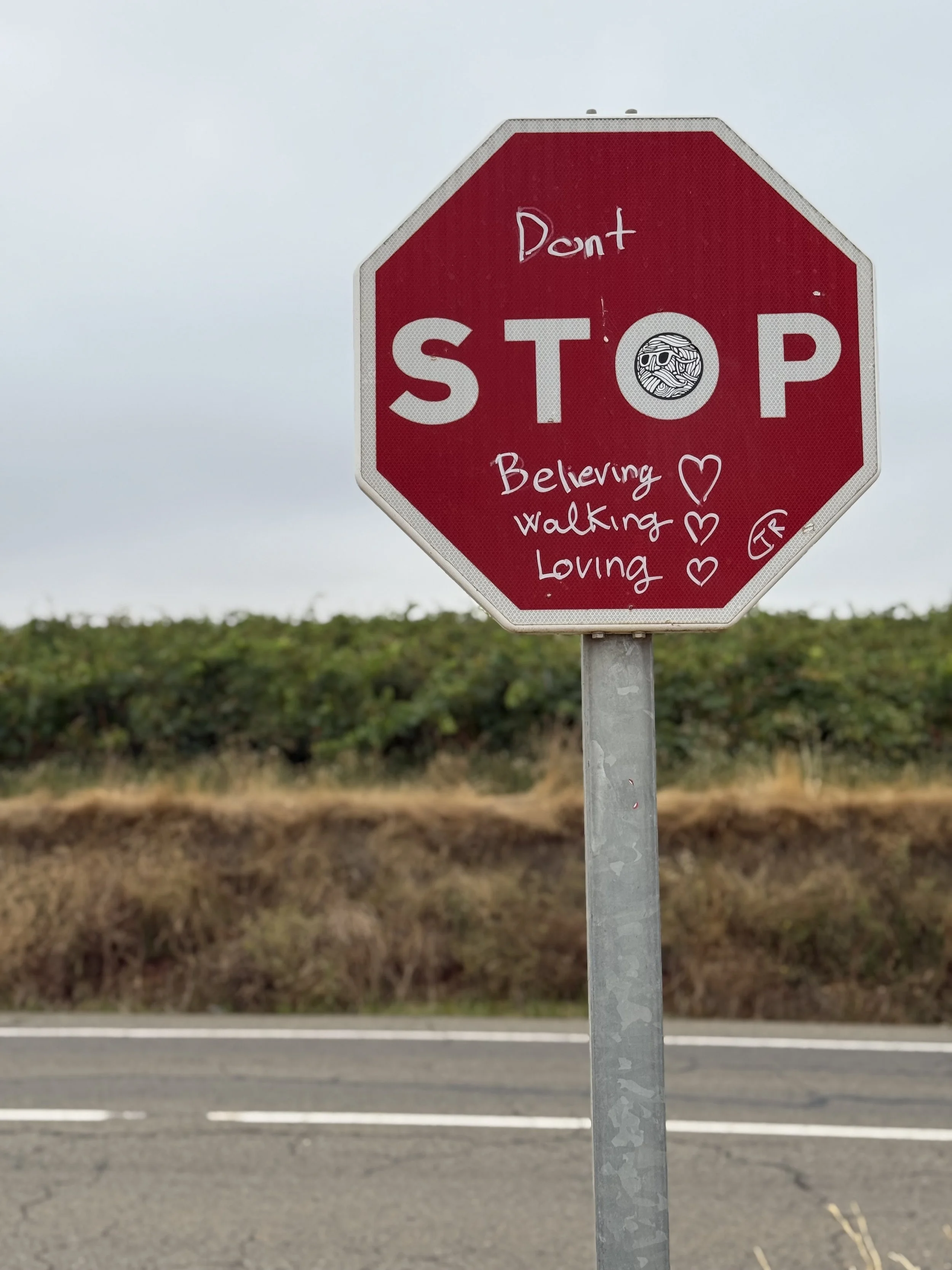 Fun Spanish Stop Sign