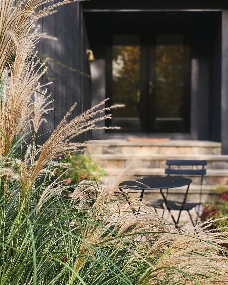 Exterior view of a modern house with black wooden siding, a black door, concrete steps, and a small outdoor seating area with a black table and chair, surrounded by ornamental grasses and plants.