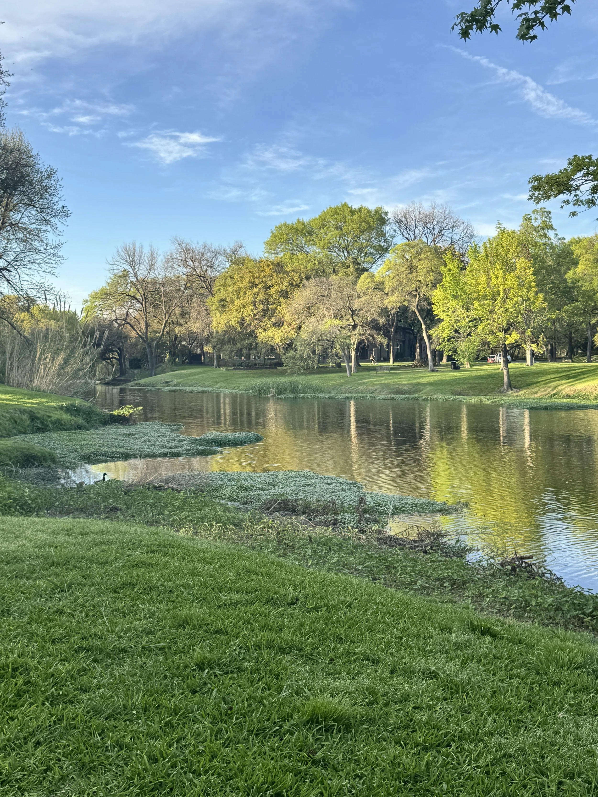 The Best Picnic Spots In DFW