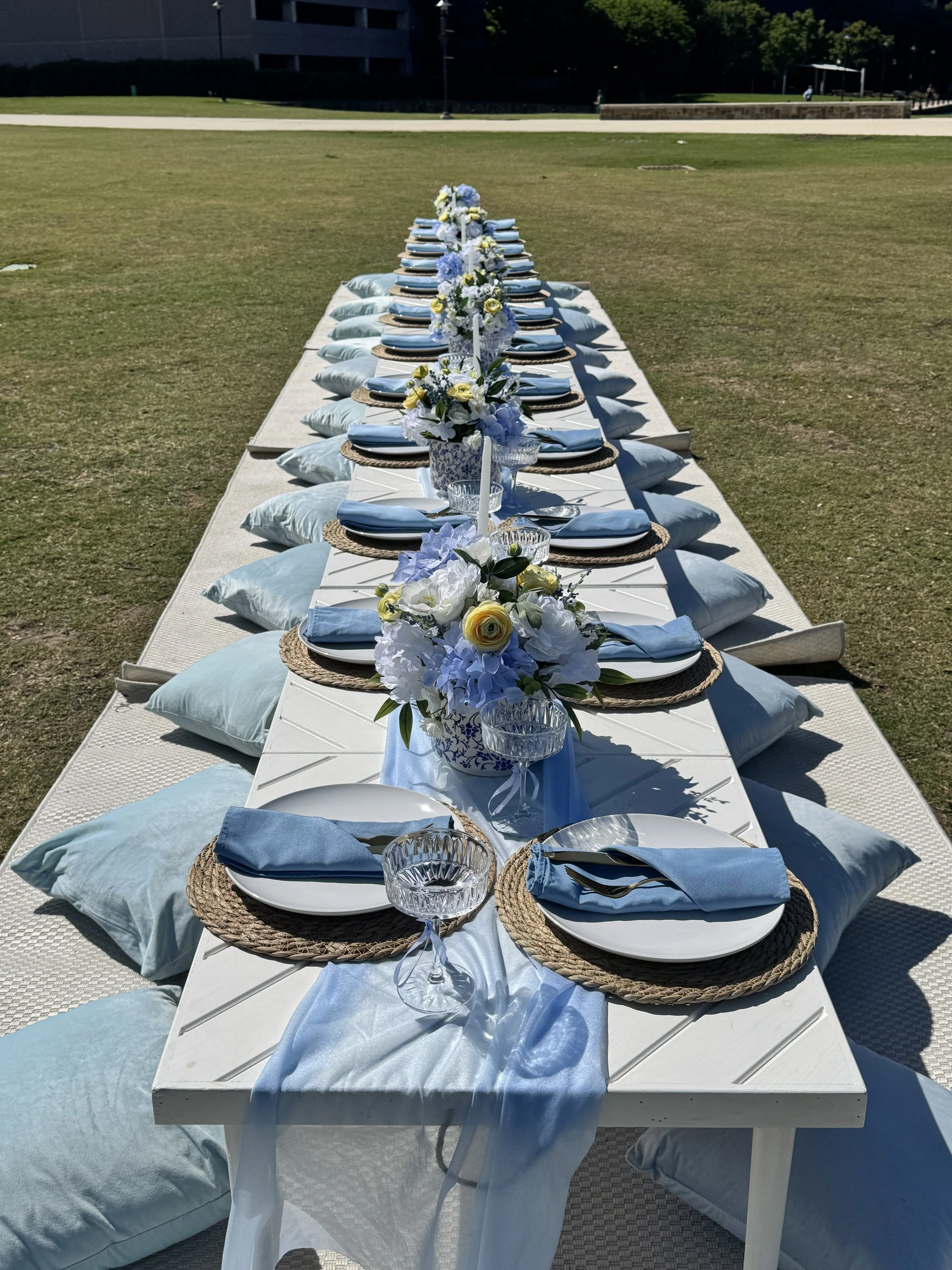 Blue picnic in Dallas, TX, styled by Wanderlust Picnics