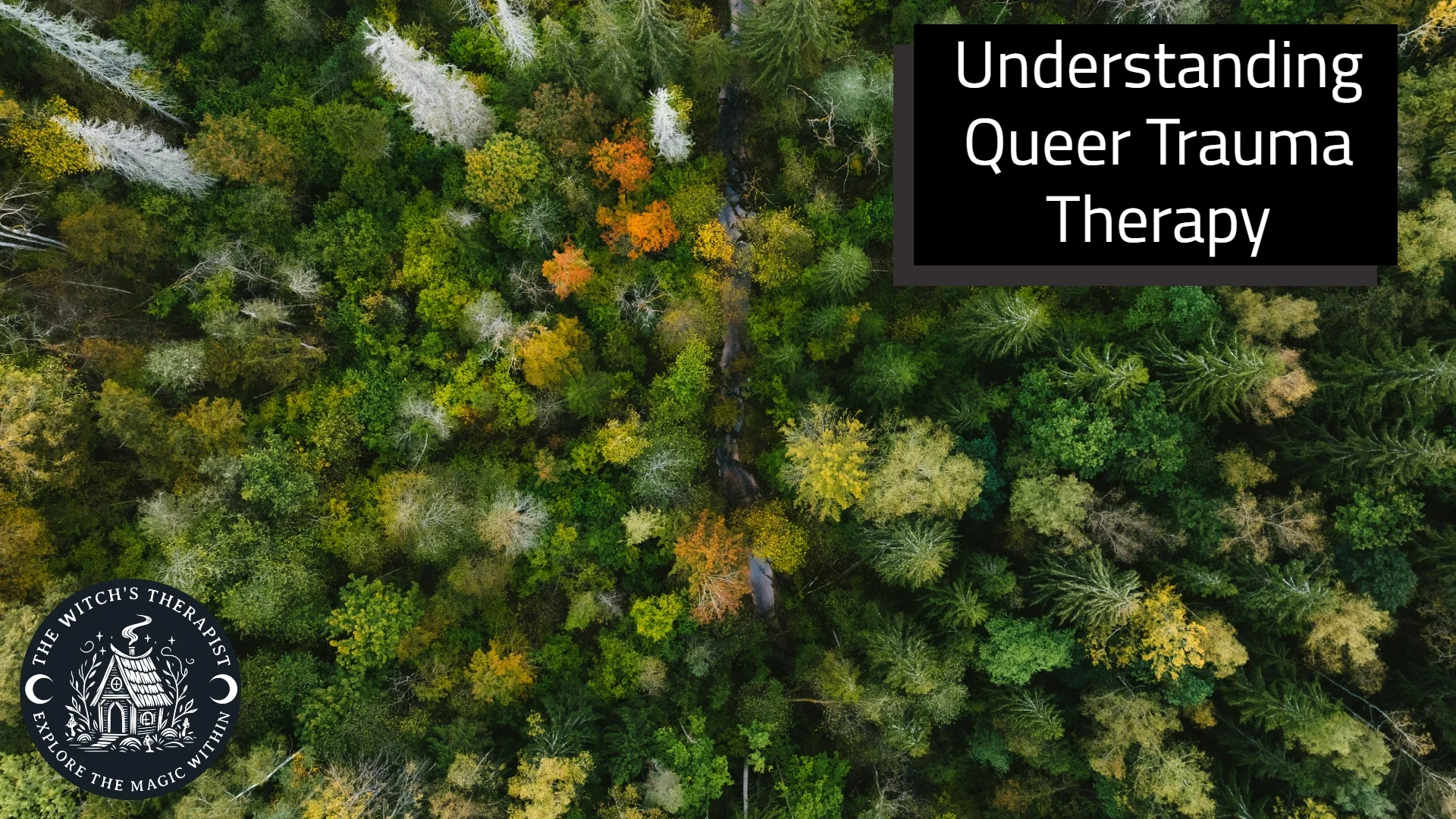 Trauma-Informed Therapy from an LGBTQ2IA+ Perspective