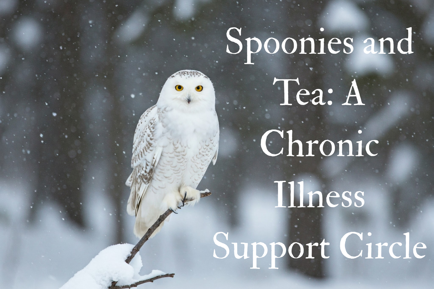 Spoonies and Tea: A Chronic Illness Support Circle