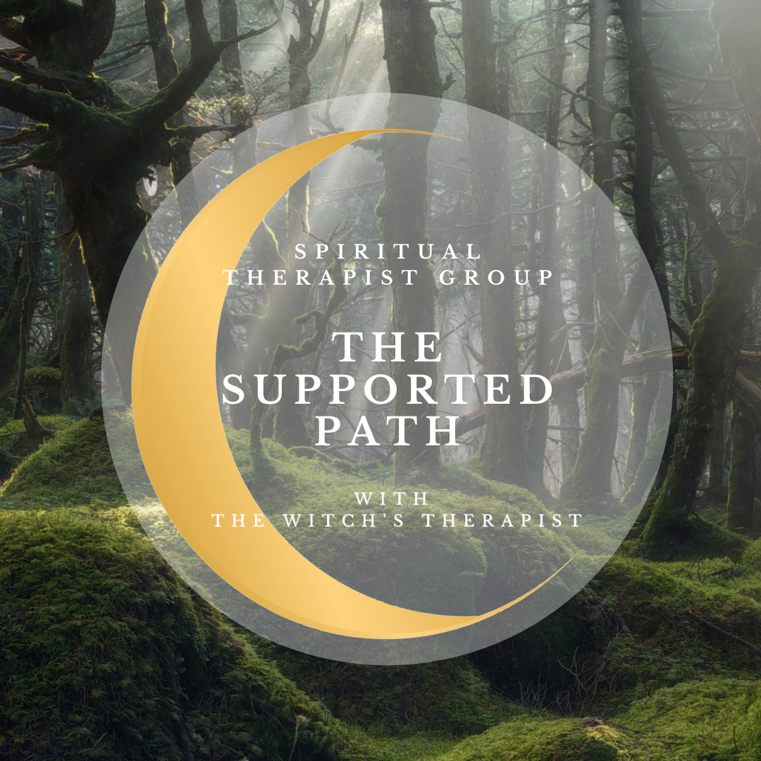 IFS INFORMED Spiritual therapist Group.png