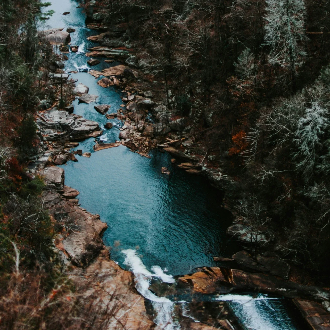 view from the top of a waterfall in a forest | The Witch's Therapist racial trauma therapy