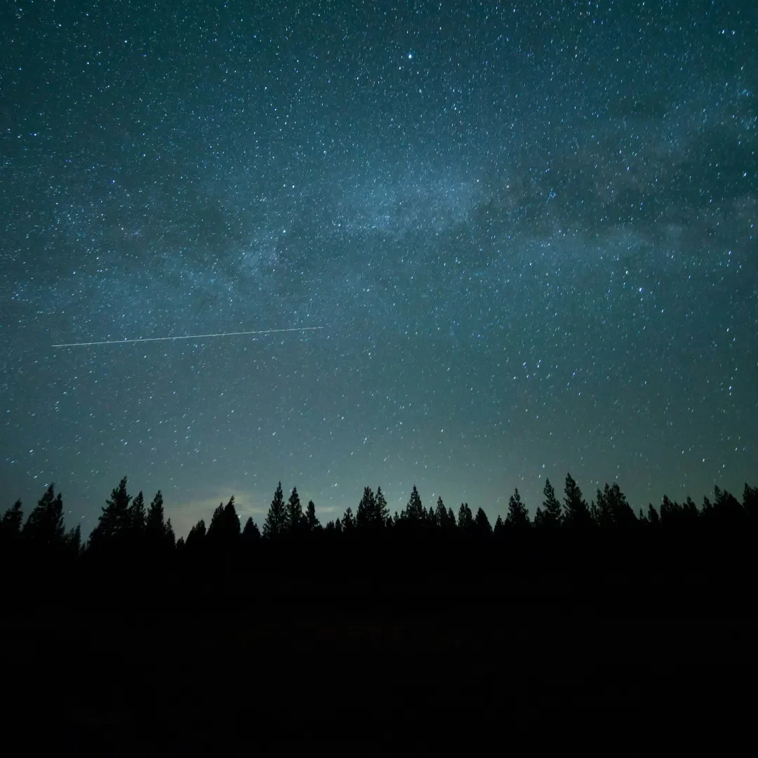 July 2026 Newsletter: New Moon in Cancer