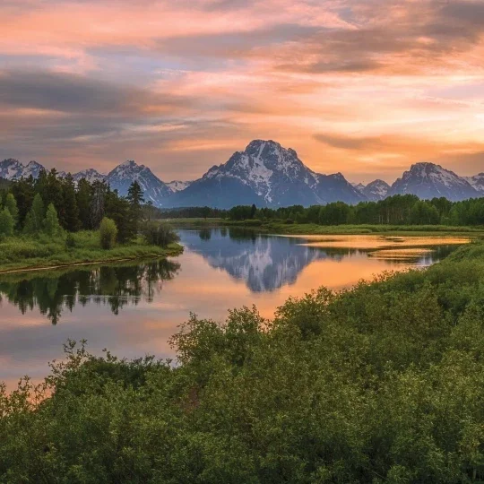 Humanistic Therapy Services | The Witch's Therapist | Holistic Psychotherapy in London Ontario