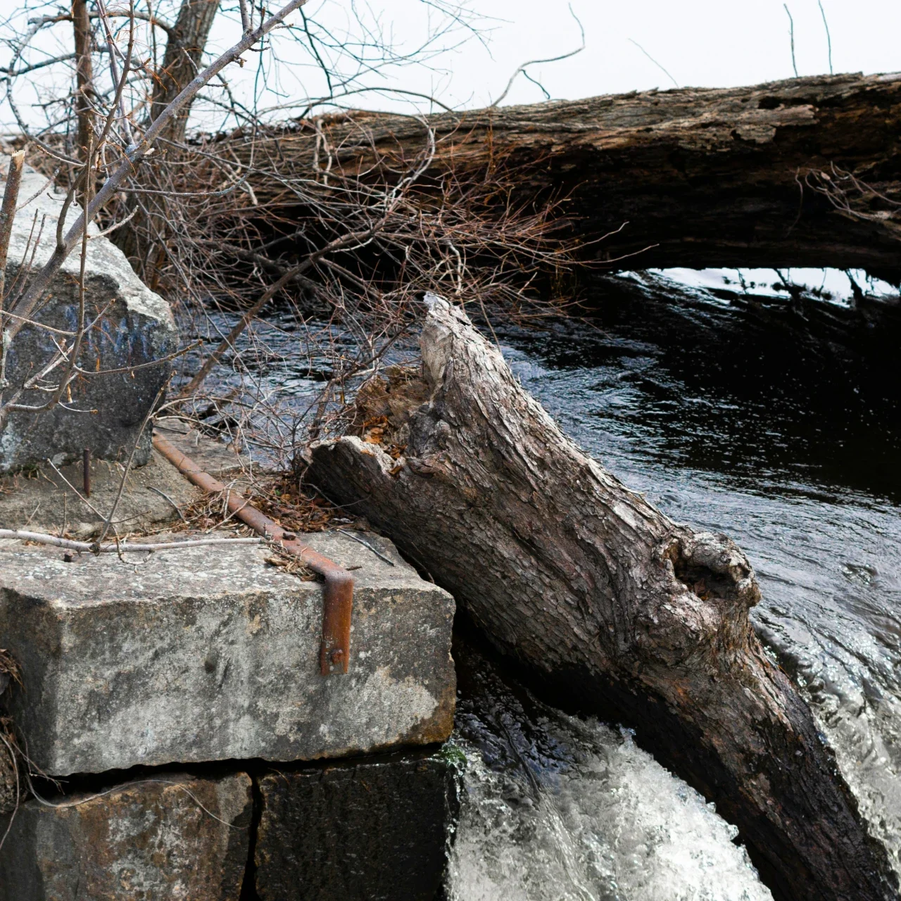 water flowing past some logs and sticks | The Witch's Therapist perfectionism therapy