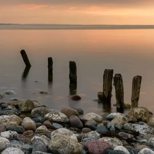 Calm body of water with weathered wooden posts protruding, surrounded by rocks on a pebbled shoreline at sunset.