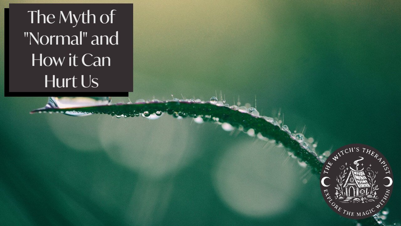 The Myth of "Normal" and How it Can Hurt Us, overtop a few blades of grass with dewdrops on them