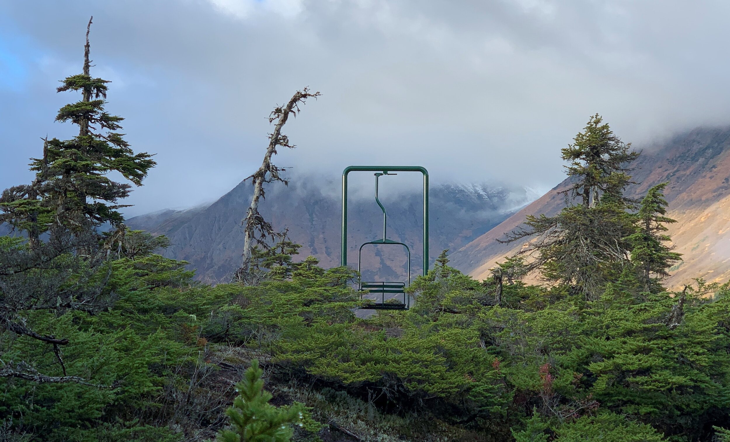 Chugach Mountain Roasters