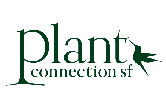 PLANT CONNECTION SF