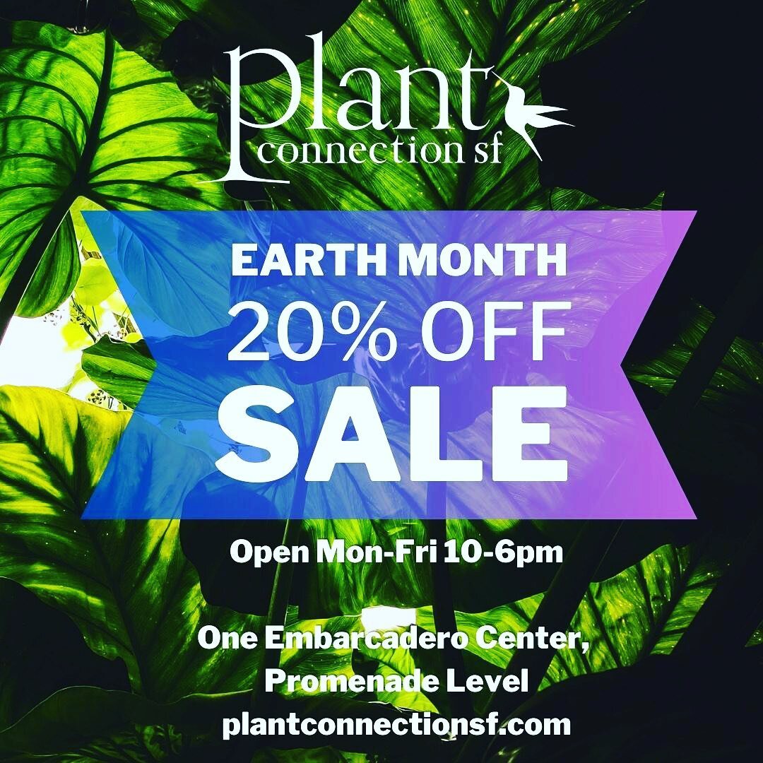 Hey it&rsquo;s FriYAY!! Start the weekend off right by getting 20% off of some spring greenery!! 🪴 🌱 ☀️ 
.
.
.
.
.
@plantconnectionsf 
@embarcaderoctr 
#plantsale
#sale 
#plantshop 
#earthmonth 
#spring
#friyay
#sunnyday
#fridayvibes 
#weekendvibes