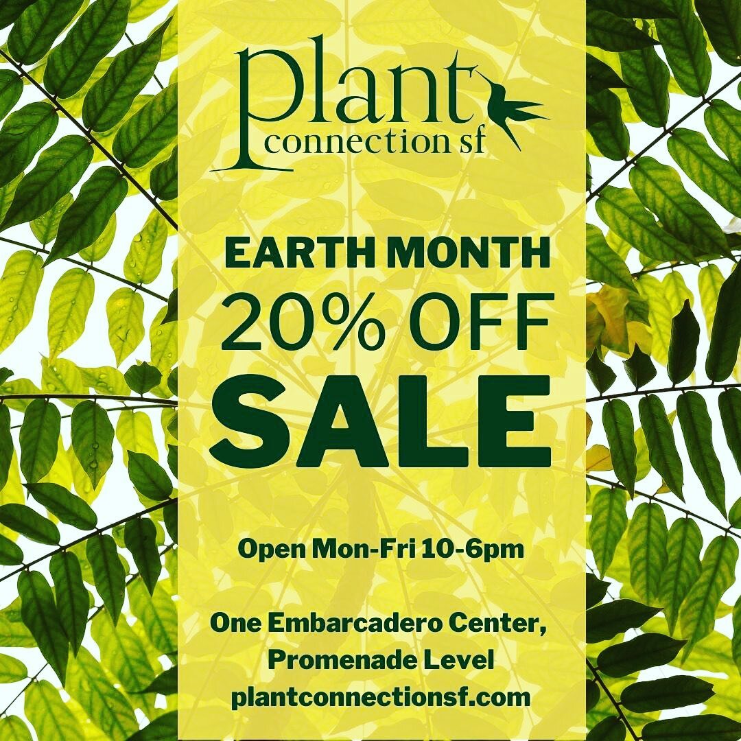 Earth Day is over but our Earth Month Sale is still going strong! We have new inventory and you still have one more week to get 20% off every item. Don&rsquo;t miss out. 
.
.
.
.
#sale 
#earthmonth
#plants 
#pots 
#gifts
#decor 
#plantshop 
#nursery 