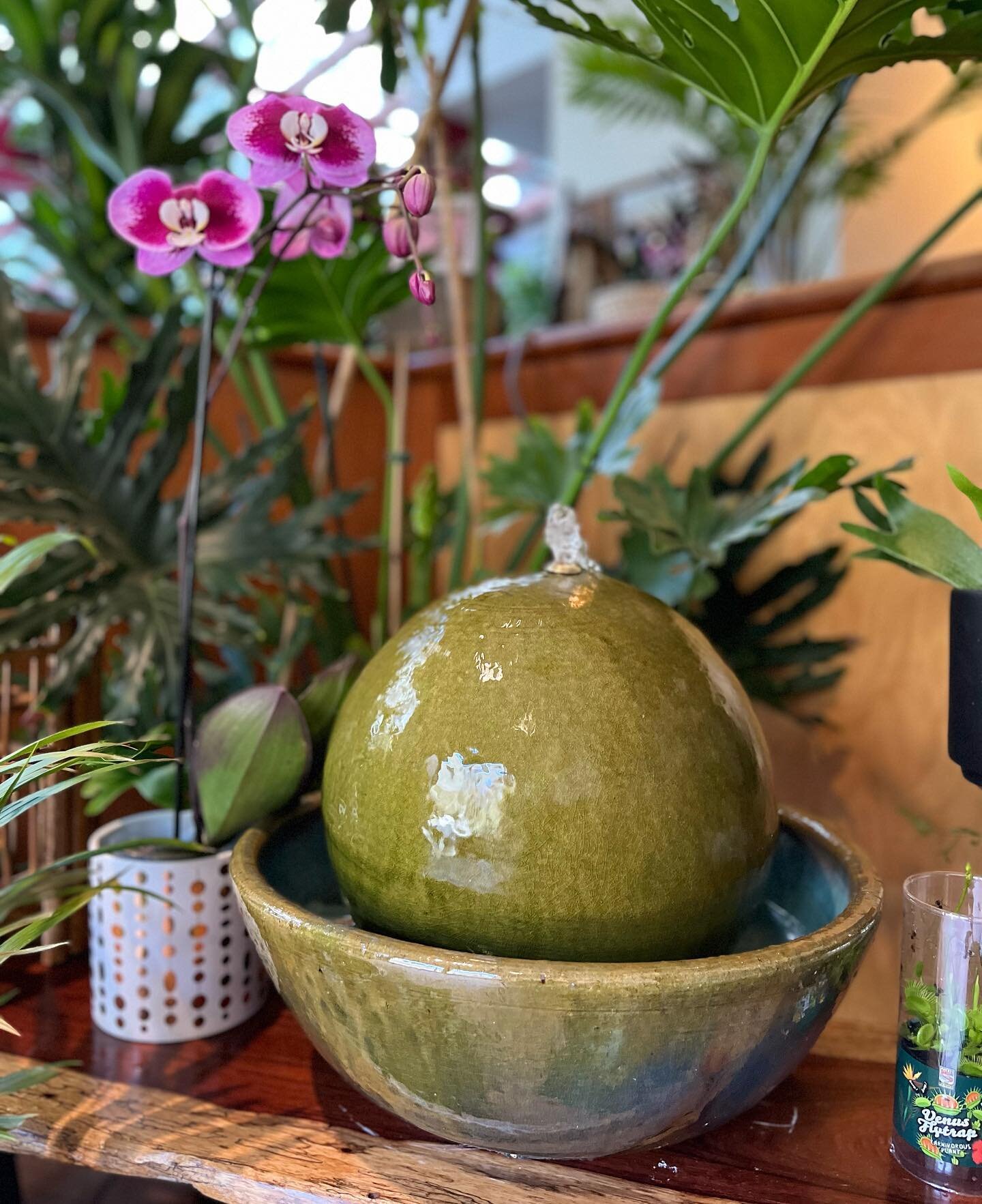 May is Mental Health Awareness and today is International Workers&rsquo;Day. Here at Plant Connection, we&rsquo;ve added an extra moment of zen with this beautiful water feature. Come by to feel the stress of your Monday melt away and find something 