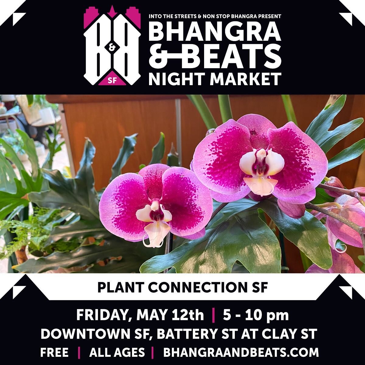 Plant Connection SF is excited to announce that we&rsquo;ll be selling at Bhangra &amp; Beats Night Market. Come enjoy the DJs, the dancers, the food trucks and come by to see us at our booth to take home a plant. It&rsquo;s a fantastic way to suppor