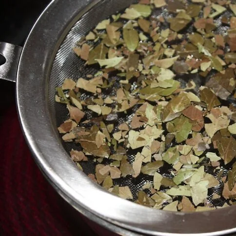 dried and cut yaupon holly leaves