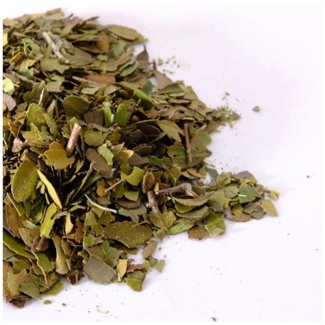 Processing Yaupon Tea is a process of drying and roasting the tender