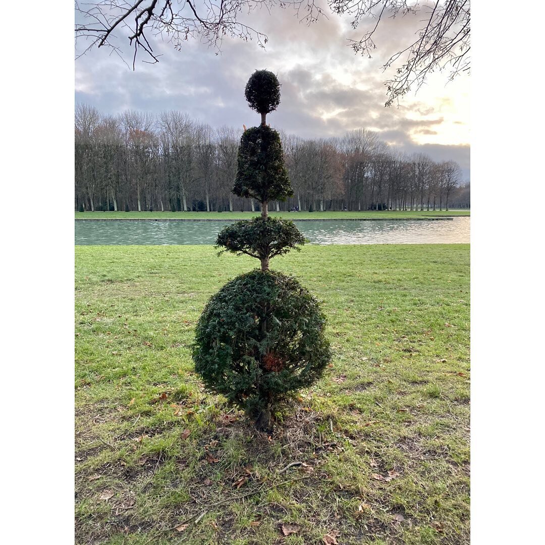 The French do Christmas trees: 🟢🟩🟢 feat. a perfectly manicured Poodle Tree, Floating Orb, and a Guillotined Tree 🔪 #poodletree #geometree #graciasgreggles #landscapedesign #louisxiv #manipedi #leroisoleil #versailles #formalgardens🌳 #parcdemarly