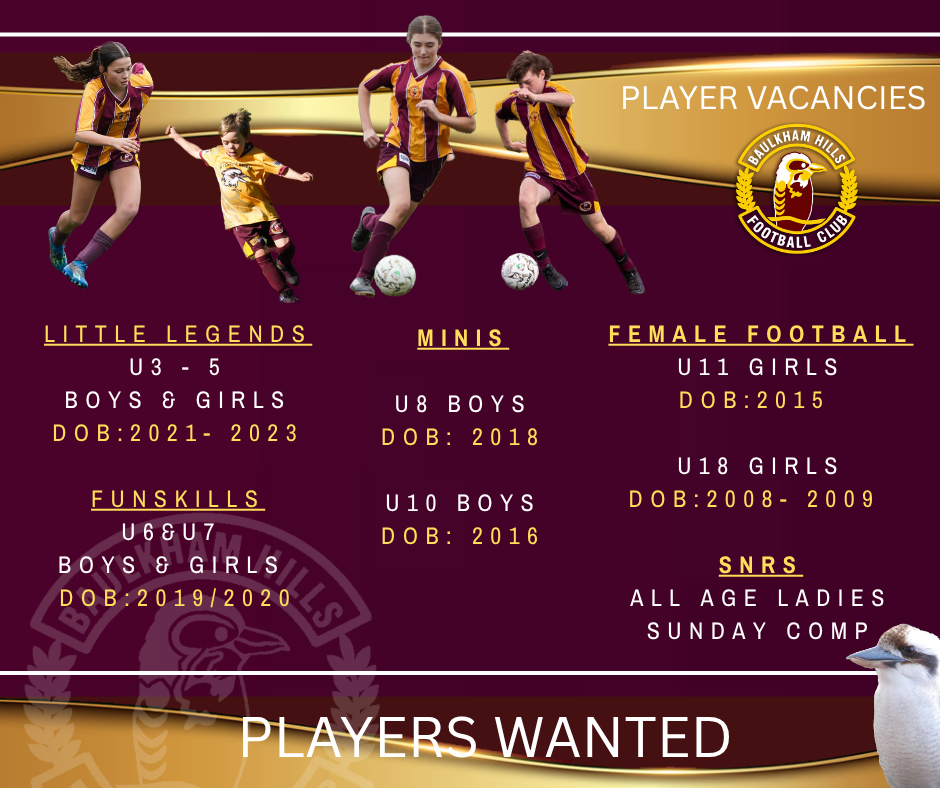 Player Vacancies V3.png