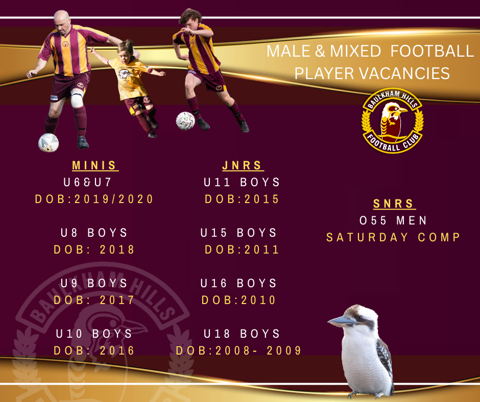 Player Vacancies Male.png