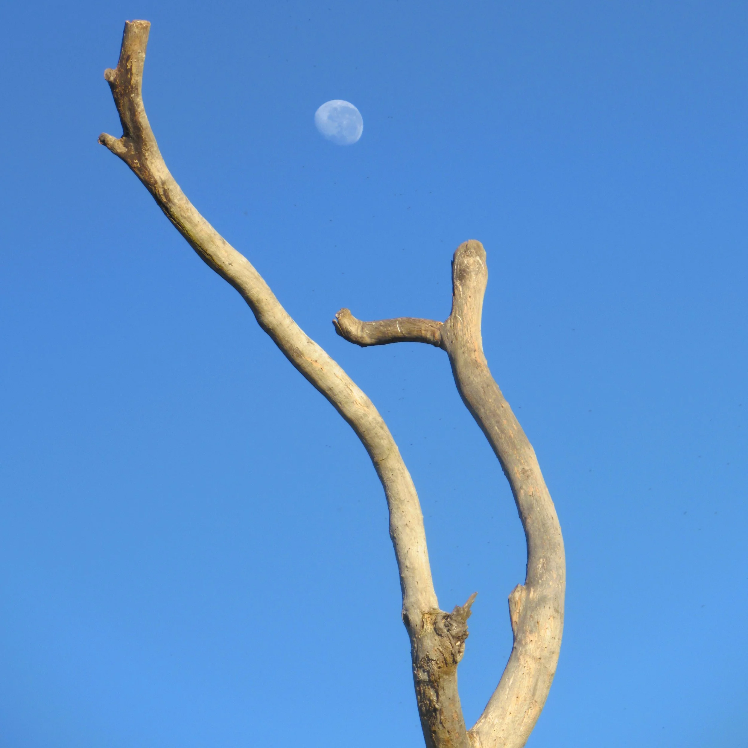 01 MD 01.JPG