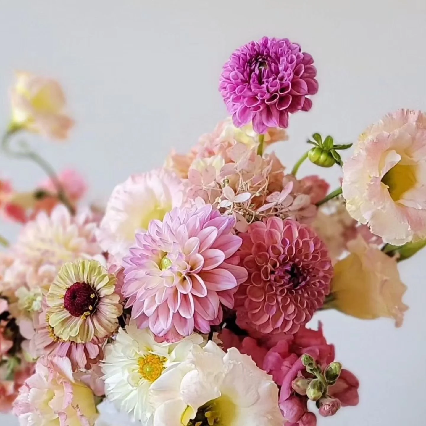 Meet The Owner — CV Flowers Rhode Island Wedding Florist