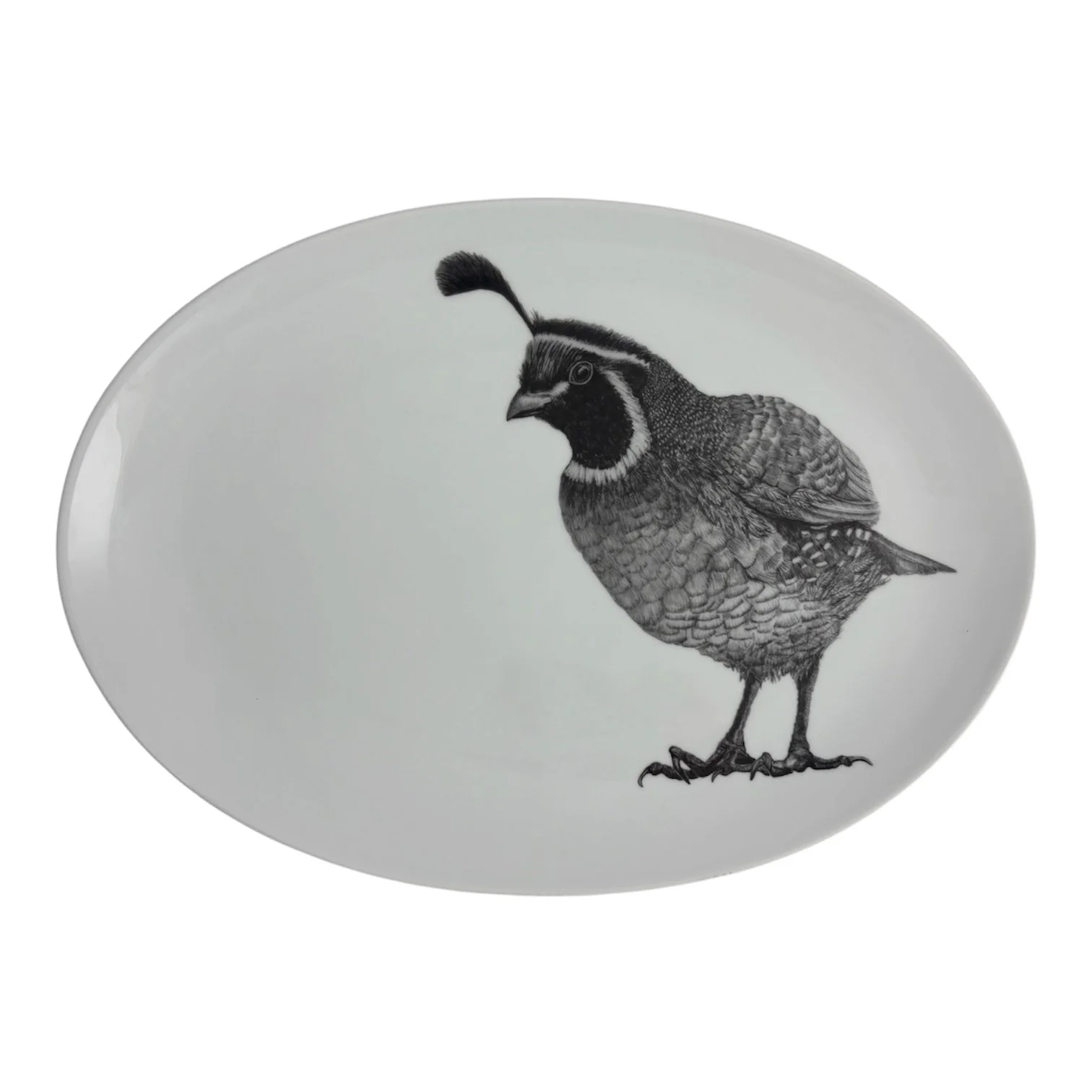 Server Quail.JPG