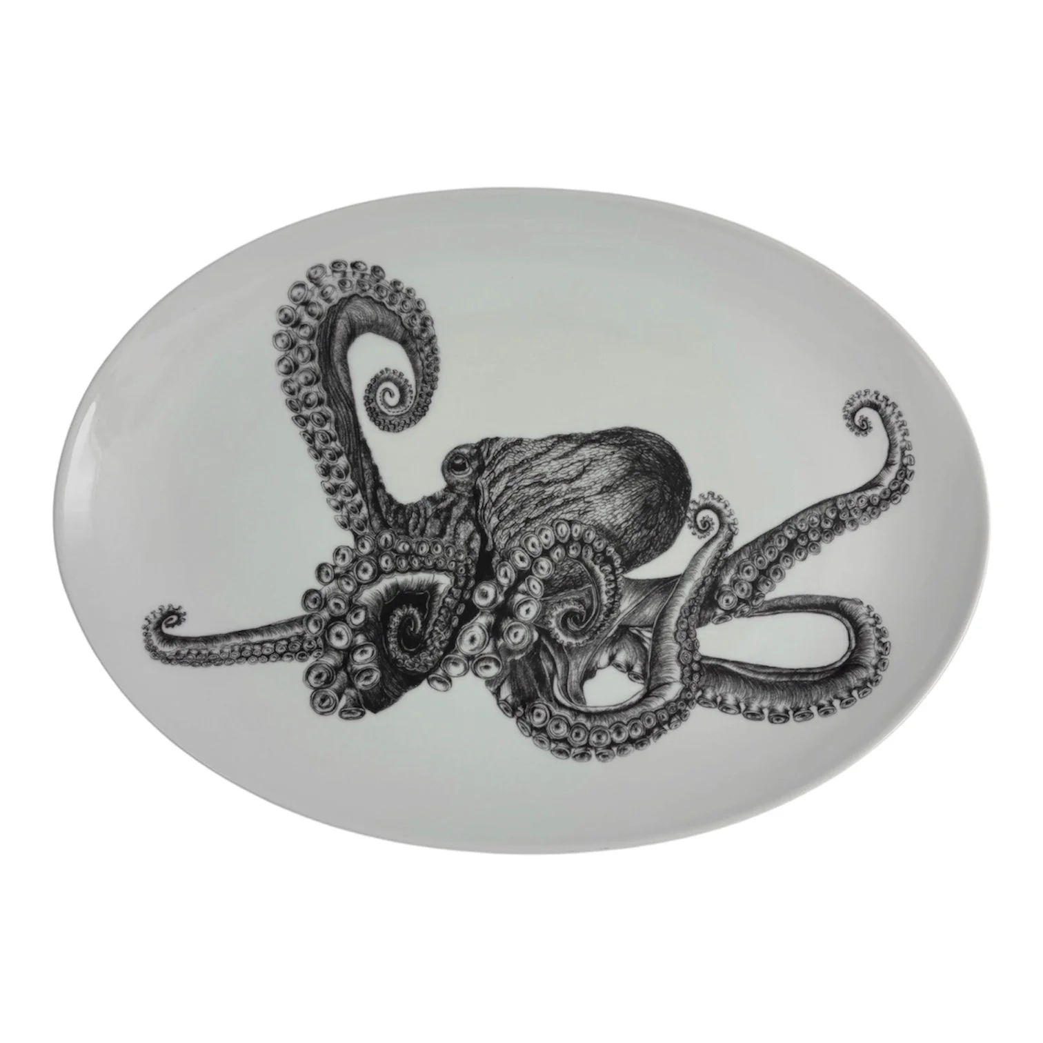 Server Octopus Armed.JPG