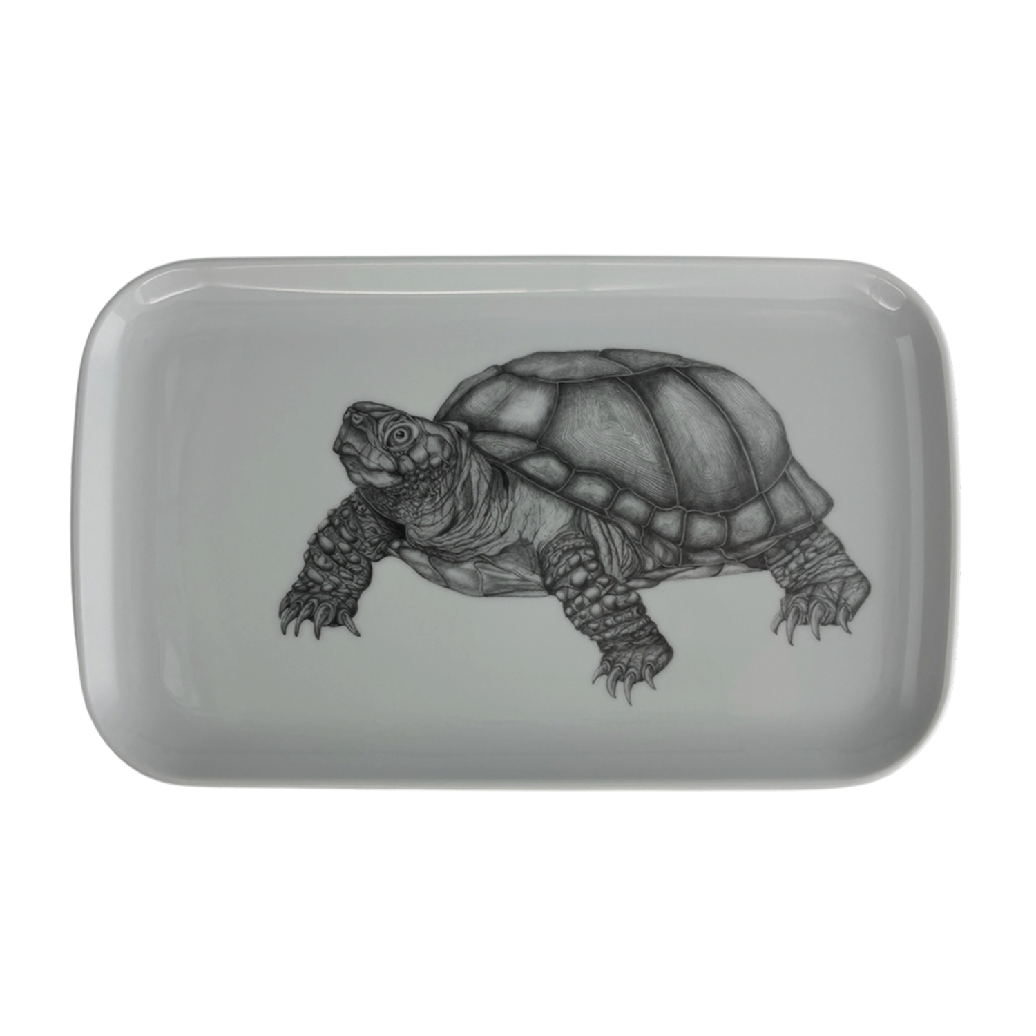 Caddy Tortoise.png