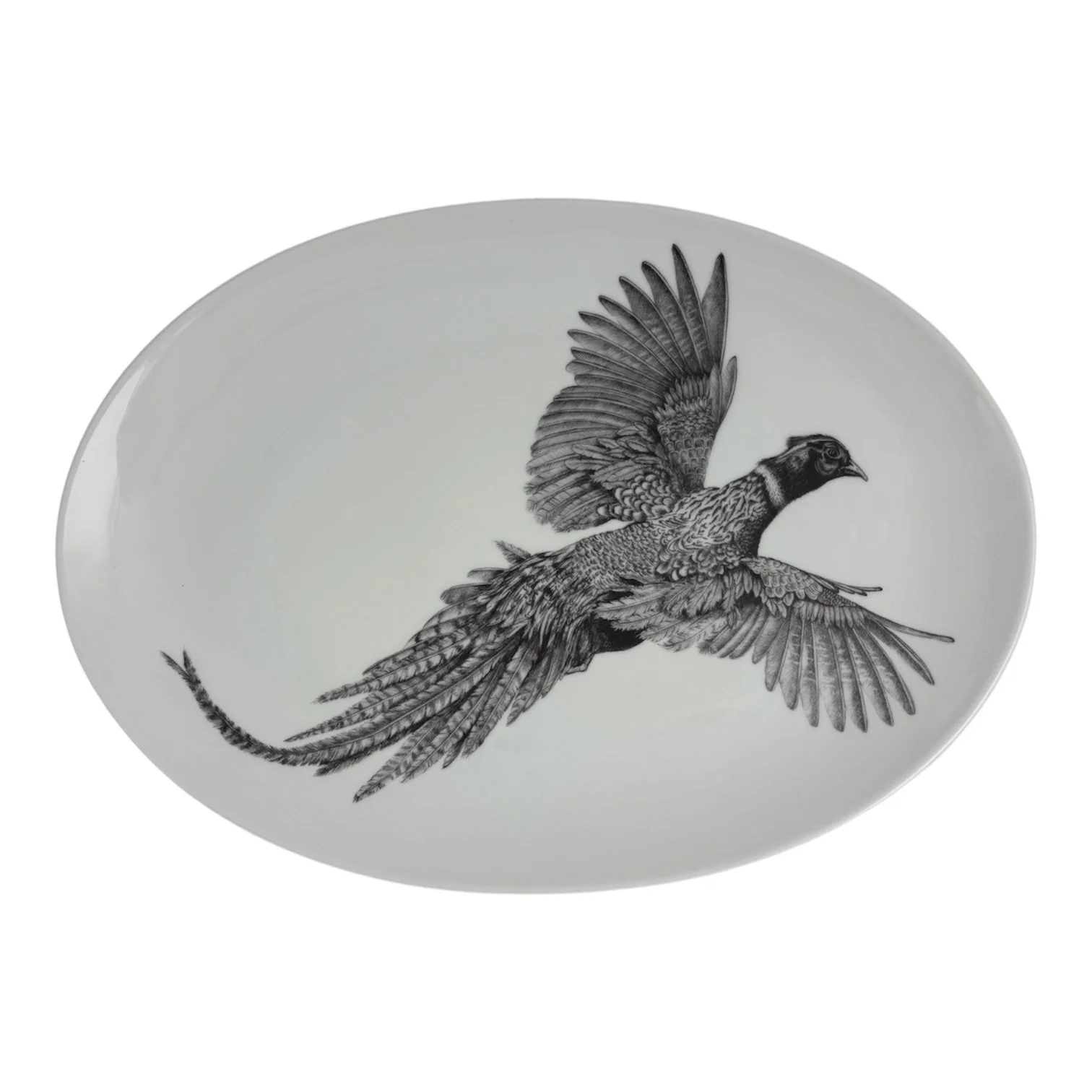 Server Pheasant.JPG