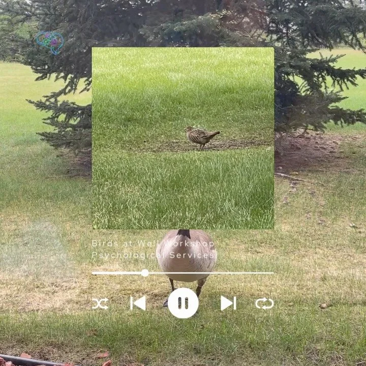 It&rsquo;s June, but technically it&rsquo;s still spring until June 20, and nature seems determined to remind us. 🌿

One of the unexpected gifts of our office space is the wildlife and greenery right outside our windows. Sometimes it&rsquo;s a goose