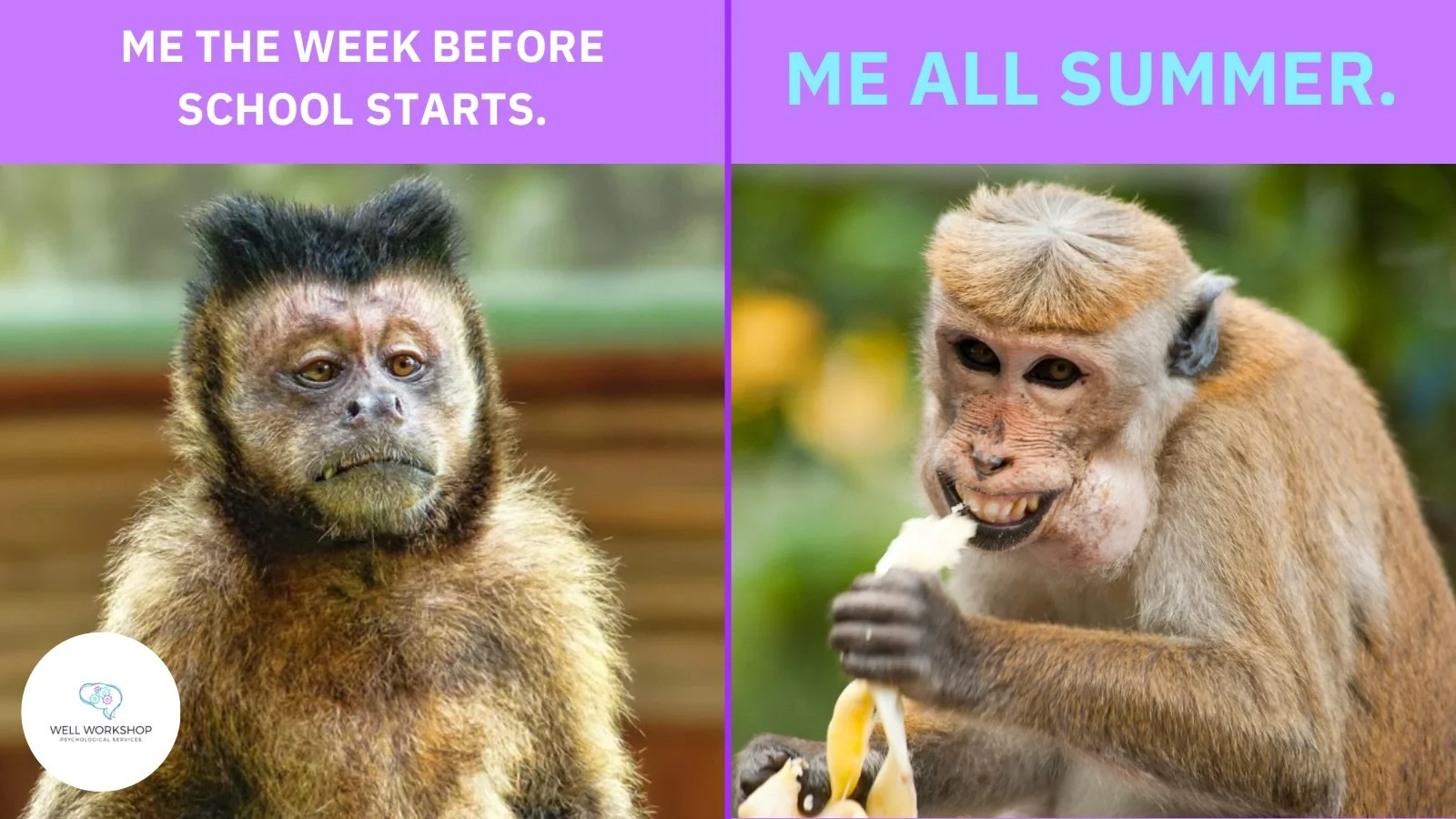 Is your family hitting the &ldquo;August Wall&rdquo;? 🎒 

The jump from the sanctuary of home back to rigid school rules has made this transition feel steeper than ever. 

Whether it&rsquo;s the intense dread of a math test or the fear of being judg