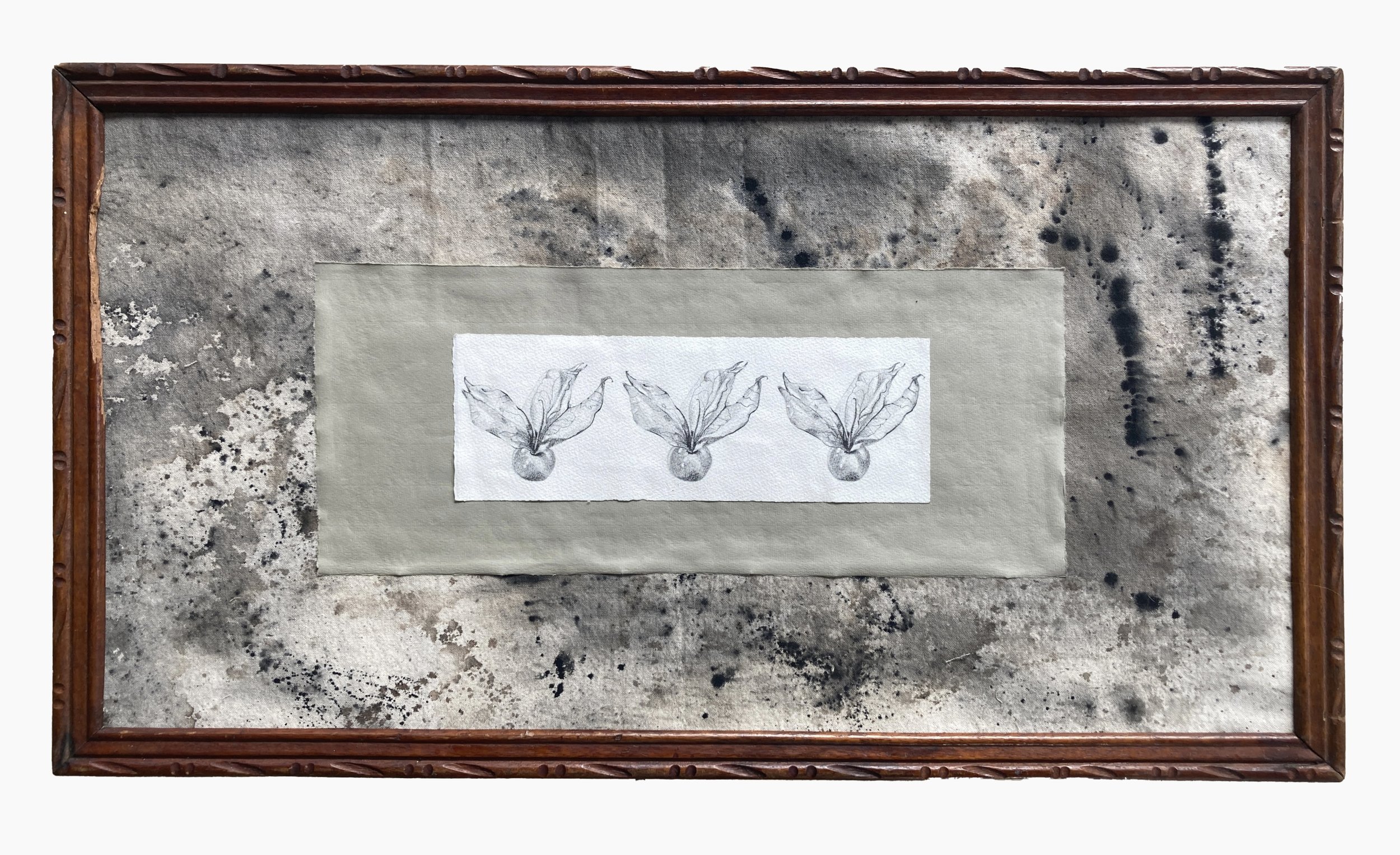Uchuva, 2024. Graphite on paper with ink on canvas and repurposed frame.