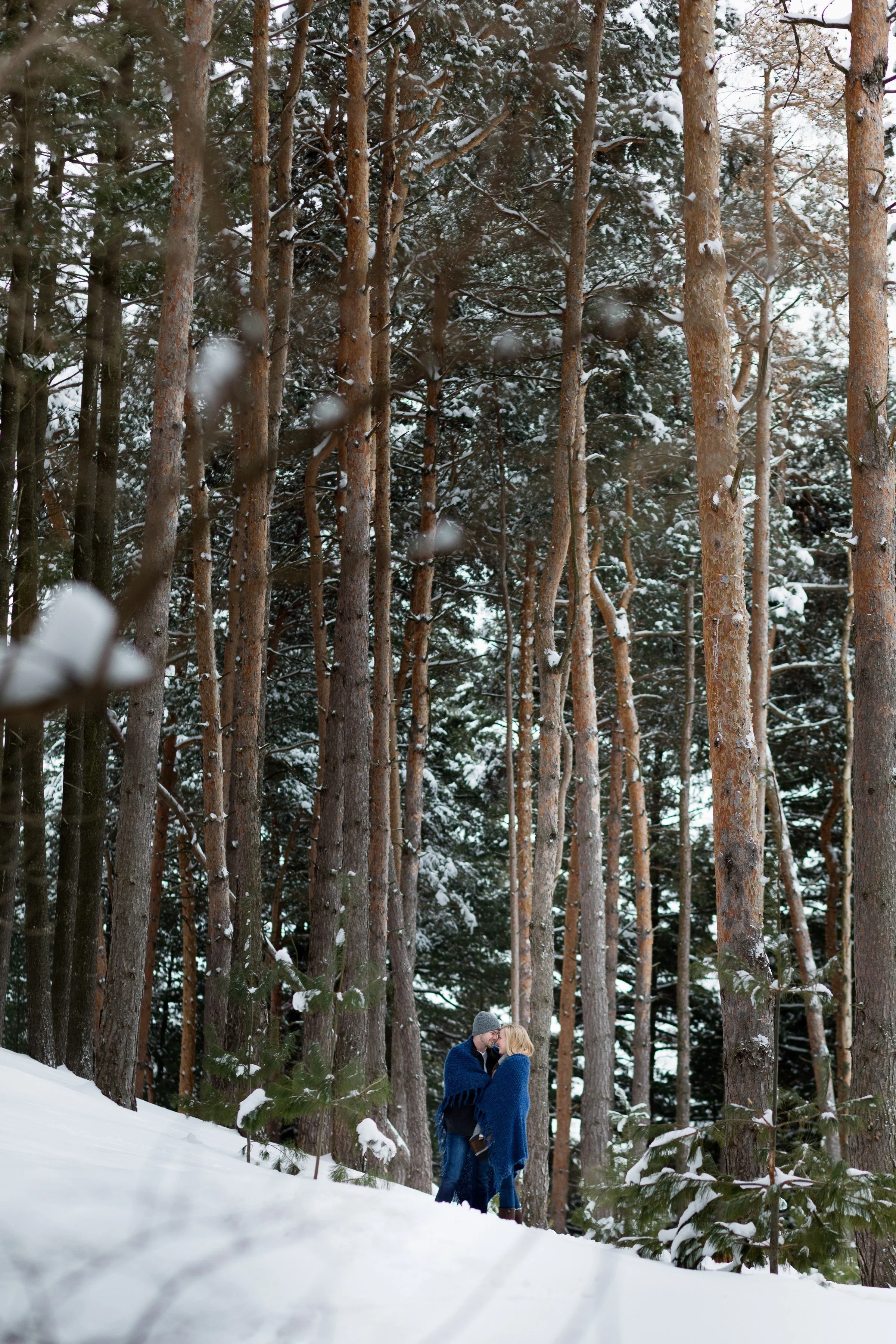 A couple standing close together in a snowy forest, wrapped in blue blankets, sharing a kiss, surrounded by tall pine trees with snow on their branches.