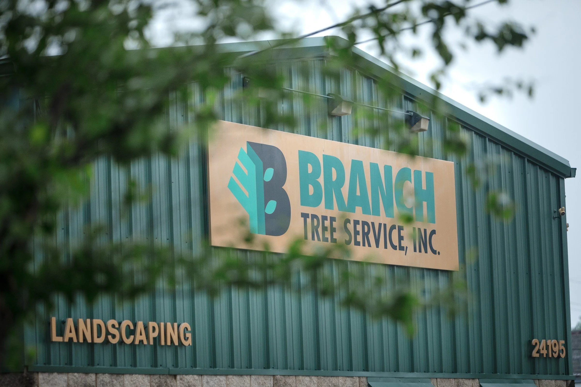 Sign on a green building for Branch Tree Service Inc. with a logo of a stylized tree inside a letter 'B', and the words 'LANDSCAPING' and the address '24195' partially visible.